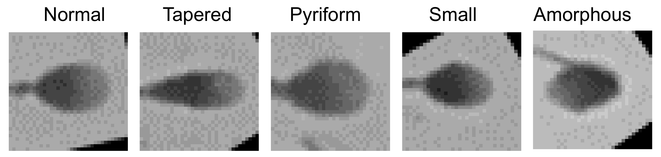 Applsci 11 05369 g006