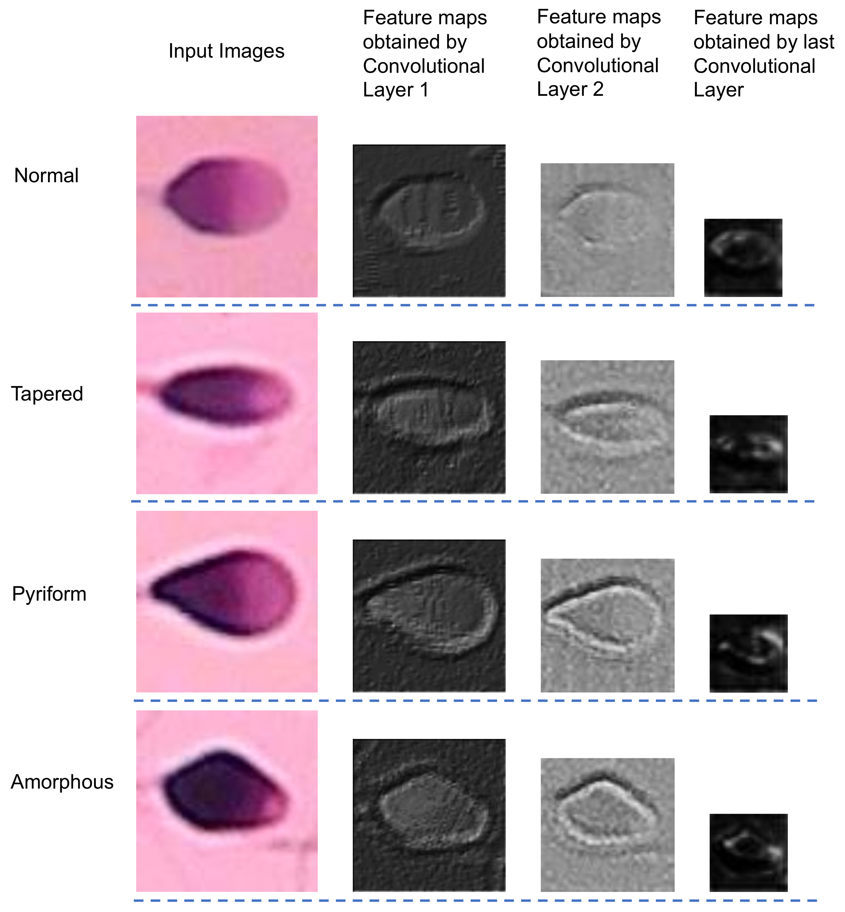 Applsci 11 05369 g008