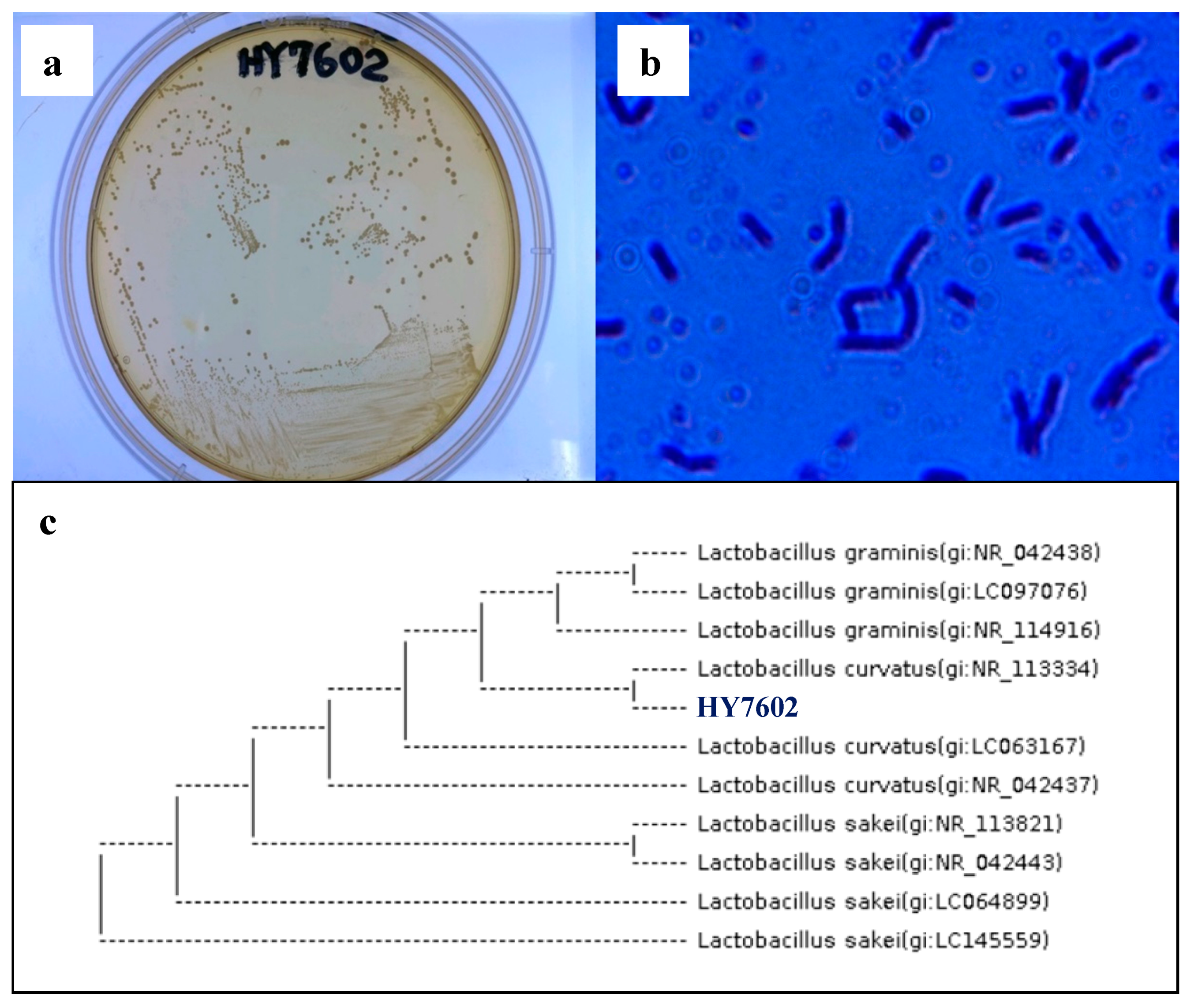 Applsci 11 05386 g001