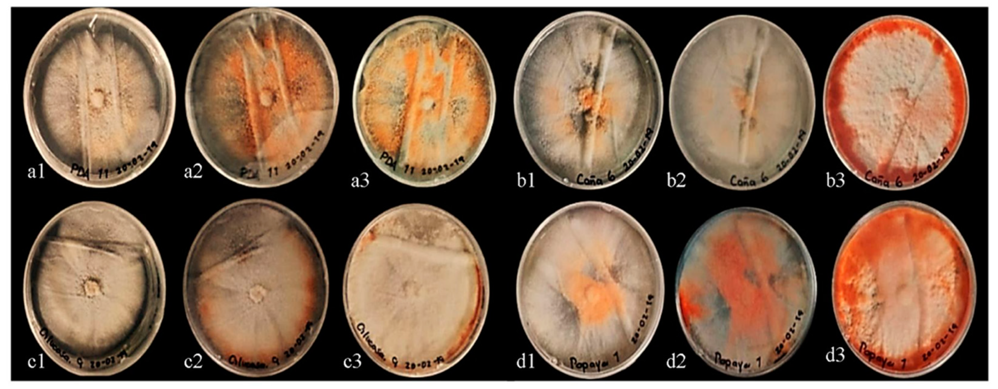 Applsci 11 05391 g003