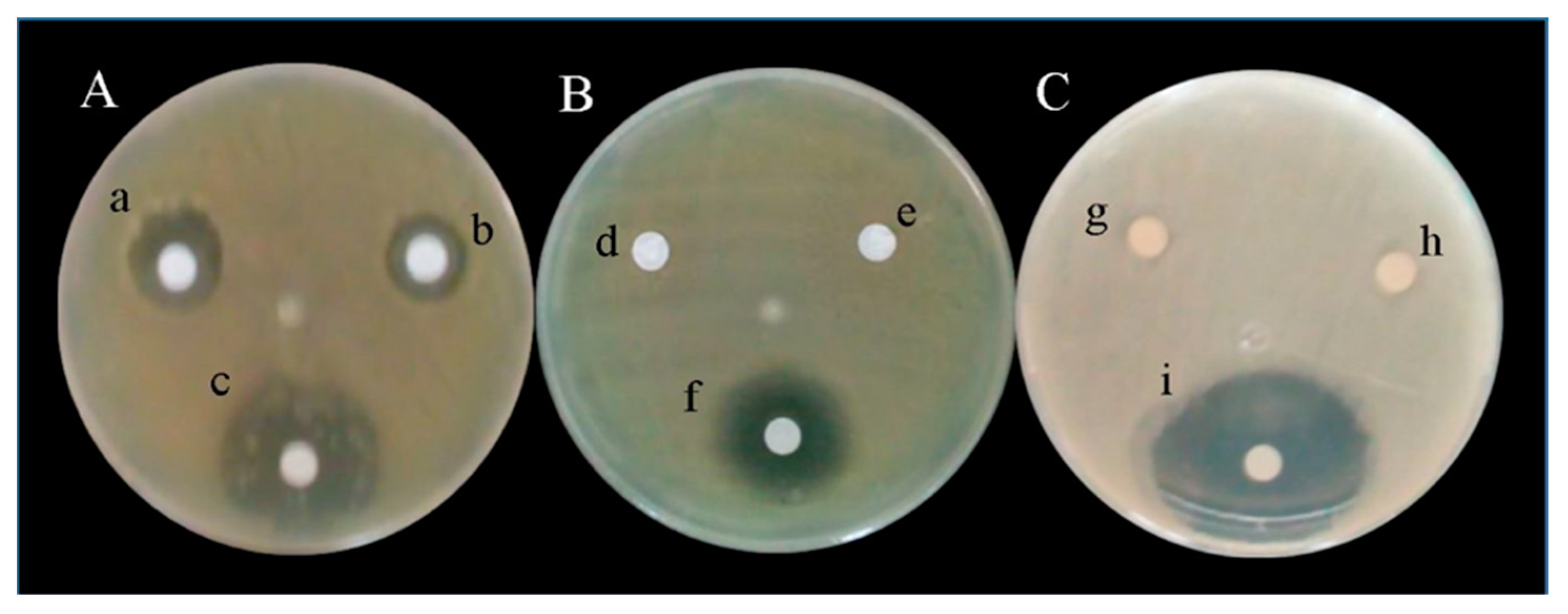 Applsci 11 05391 g005