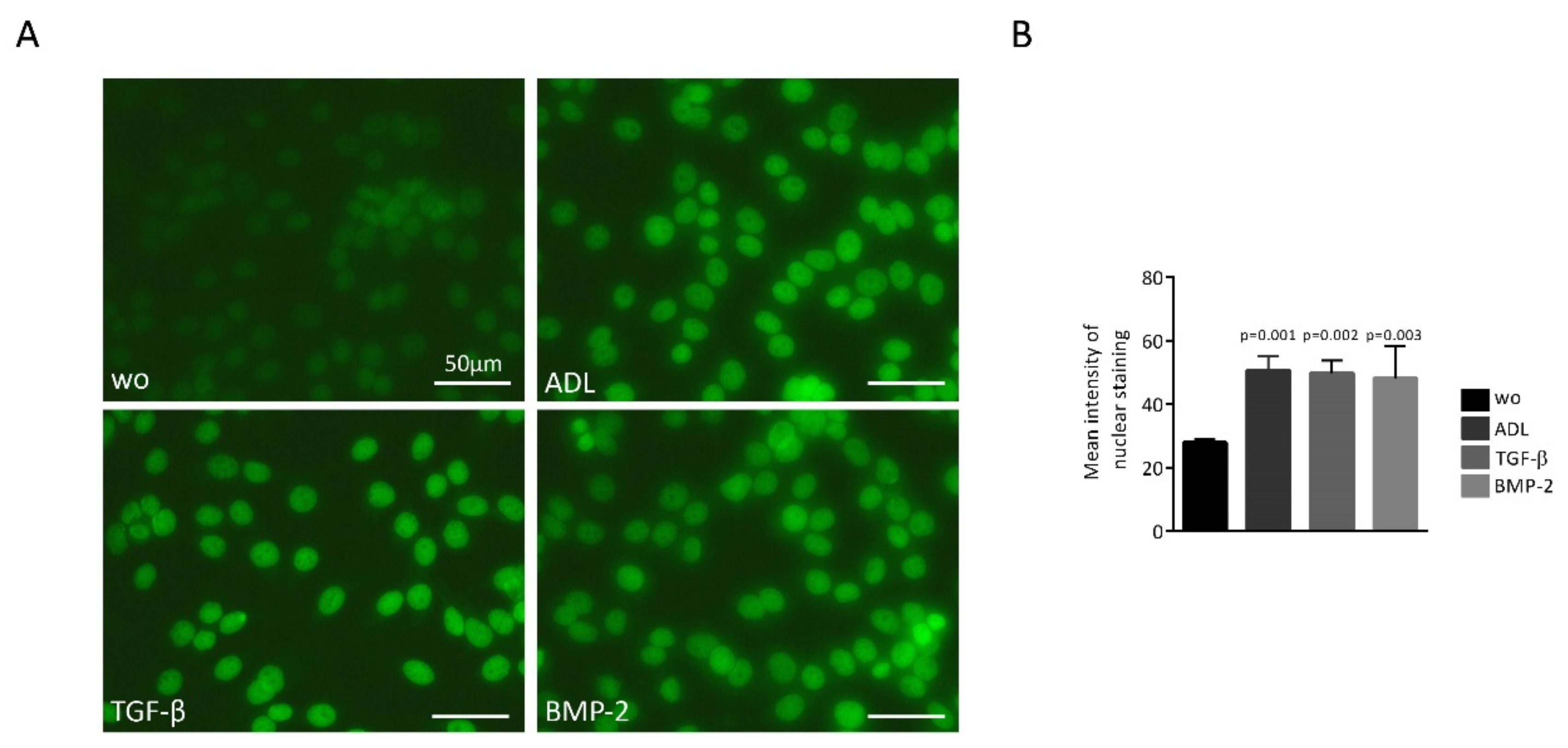Applsci 11 05394 g005