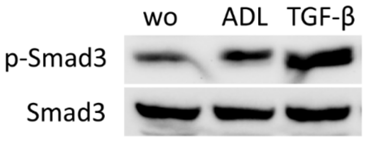 Applsci 11 05394 g006