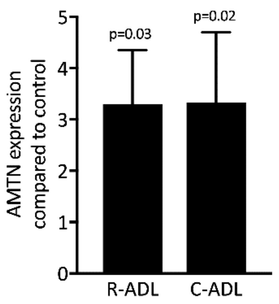 Applsci 11 05394 g009