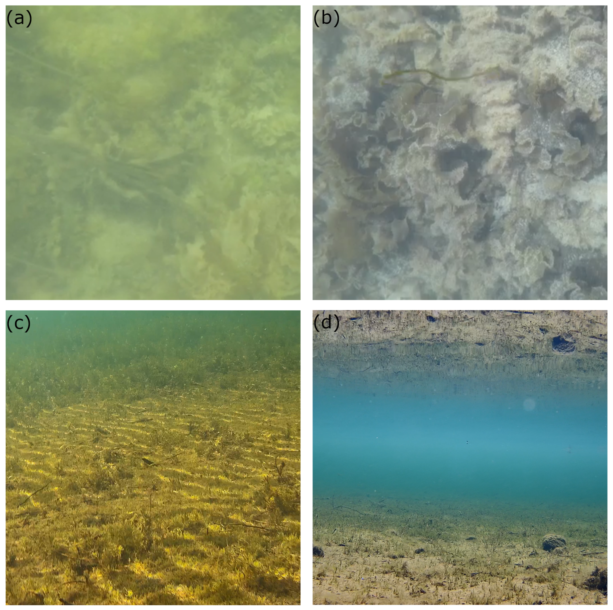 Applsci 11 05401 g012