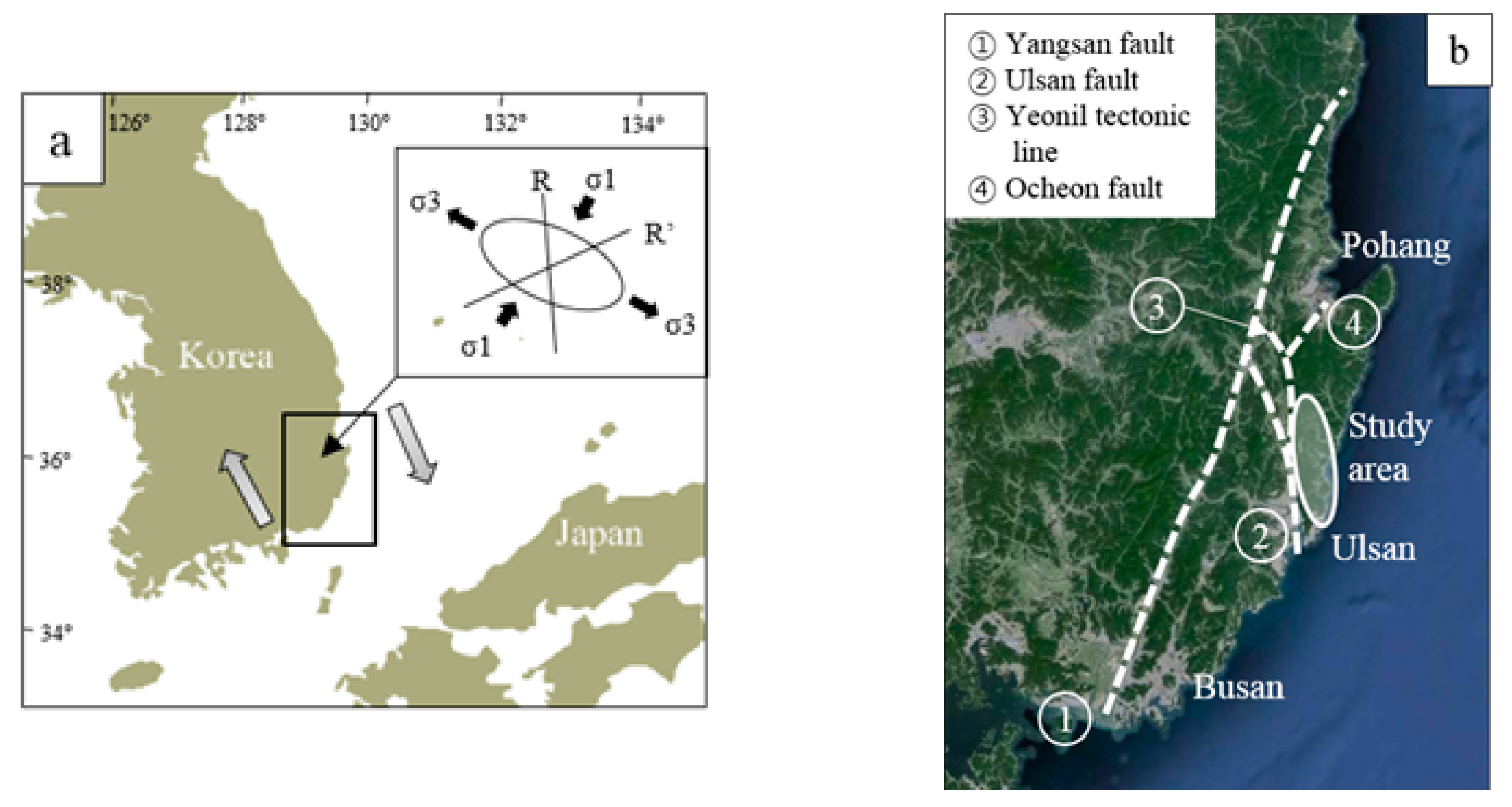 Applsci 11 05405 g006