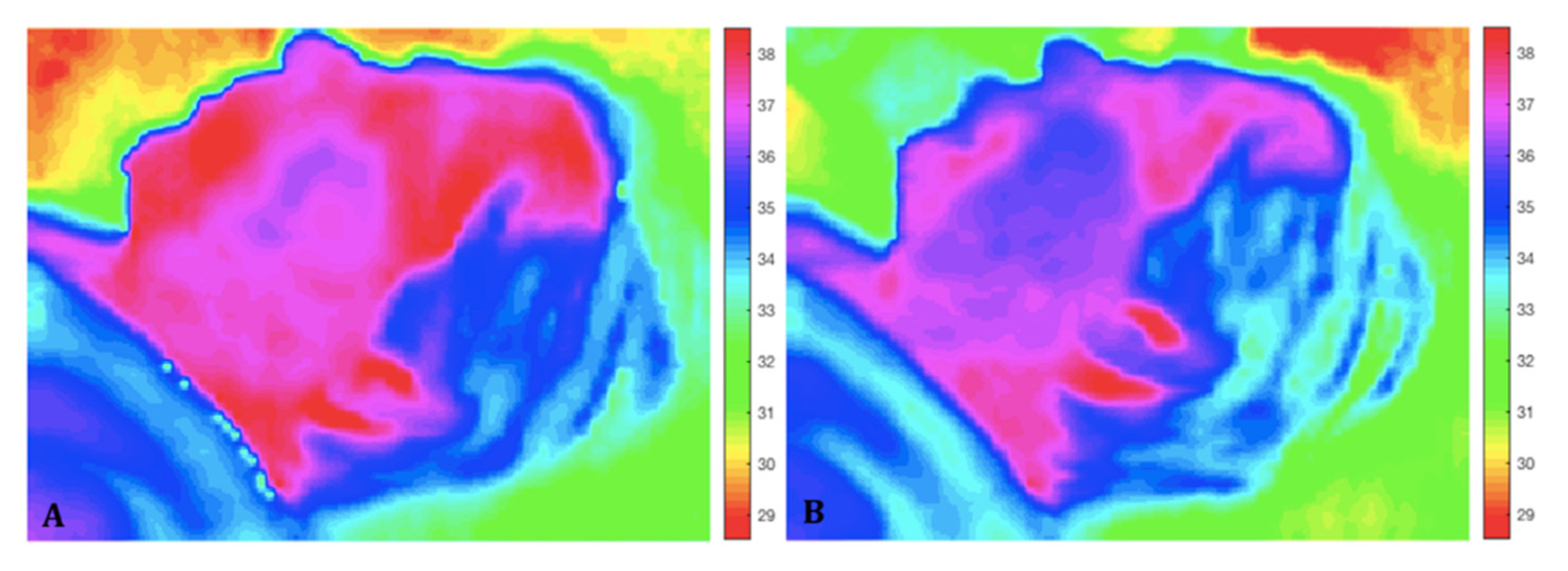 Applsci 11 05421 g004