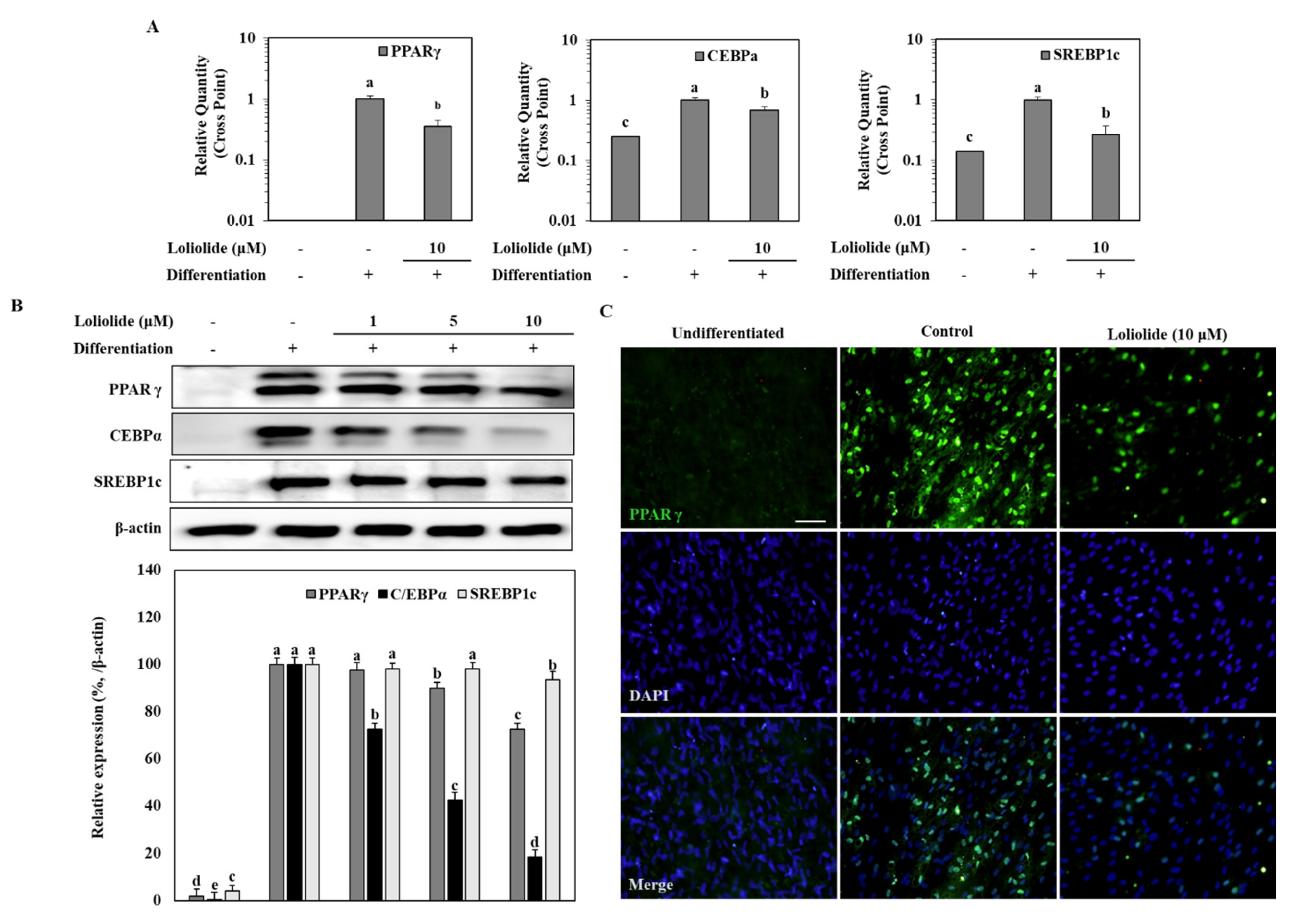 Applsci 11 05435 g002