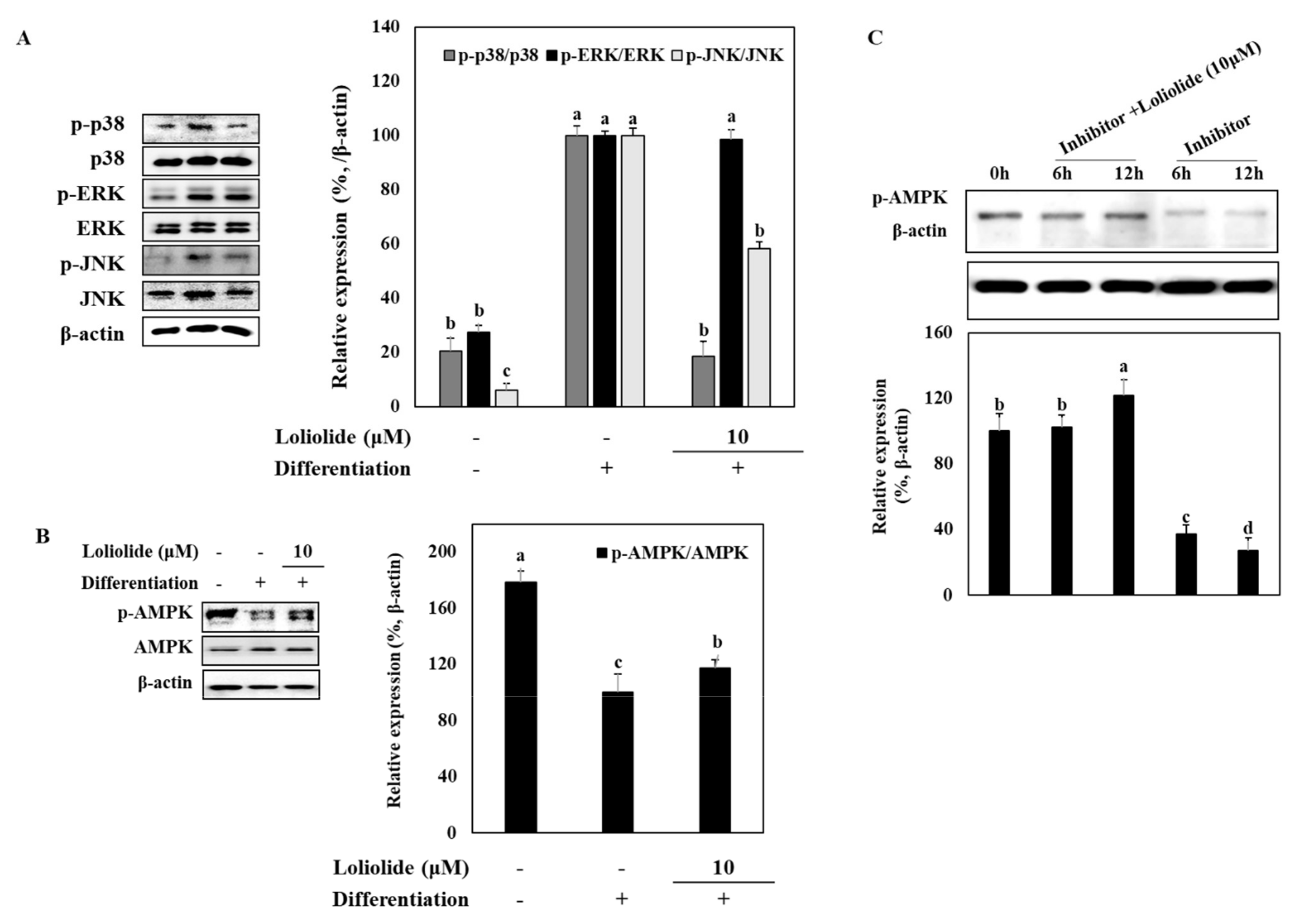 Applsci 11 05435 g003