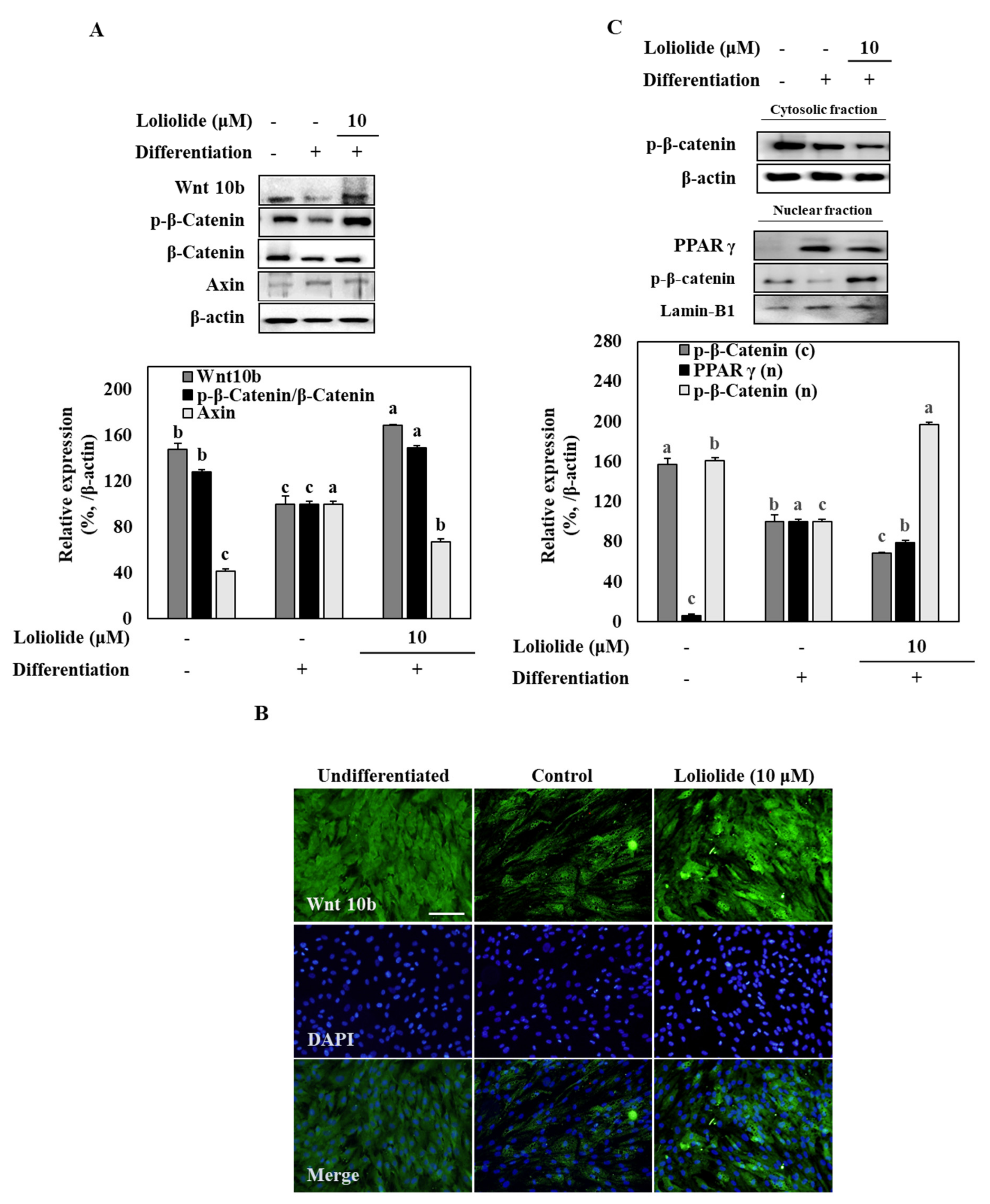Applsci 11 05435 g004