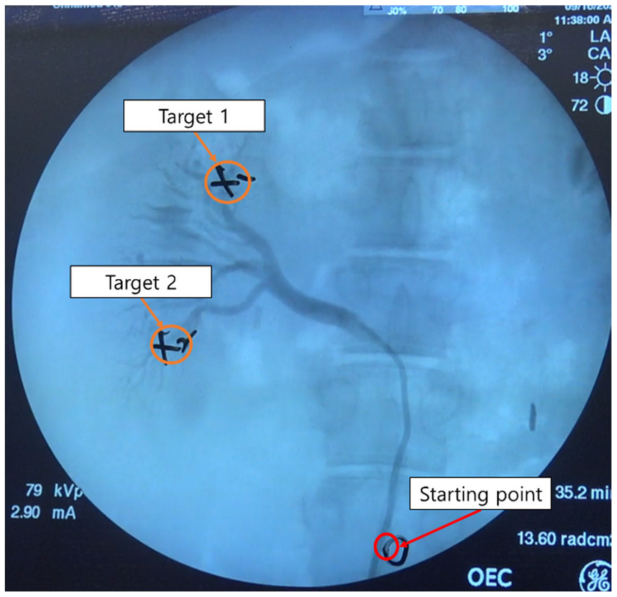 Applsci 11 05453 g012