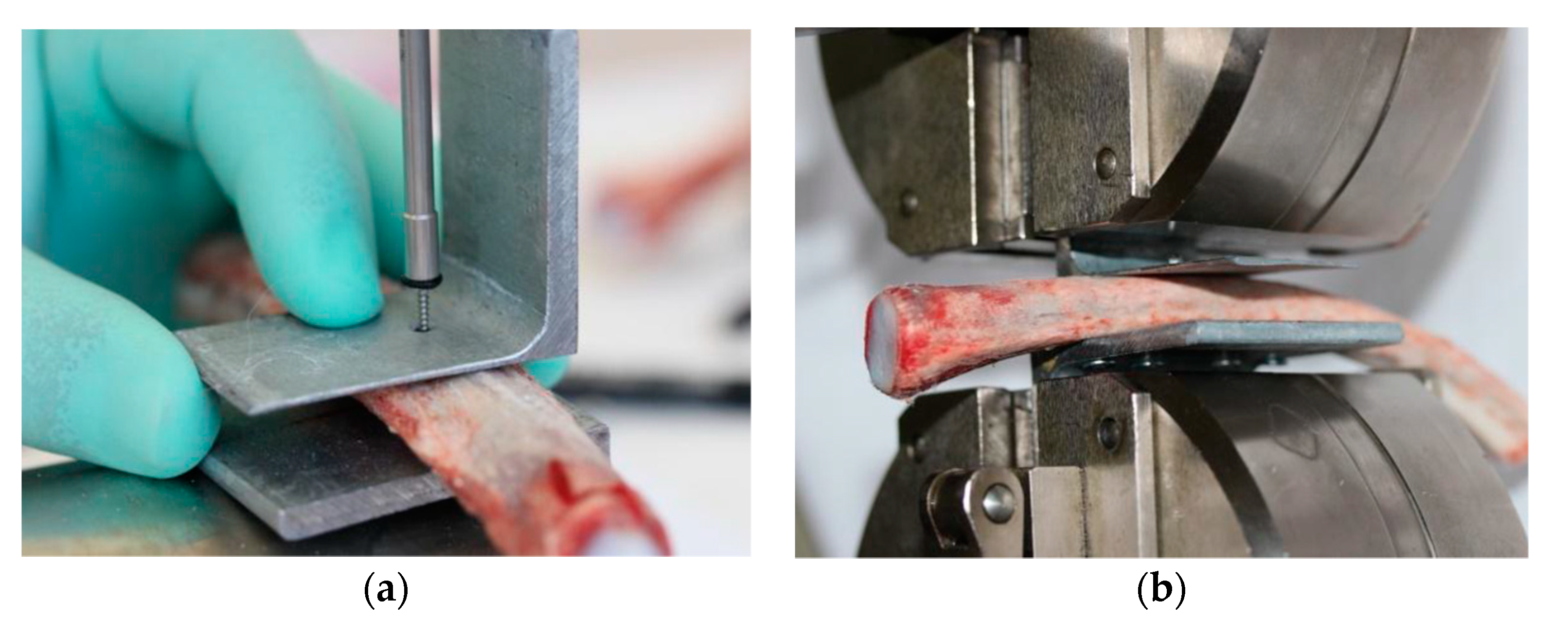 Applsci 11 05461 g004 Applsci 11 05461 g004