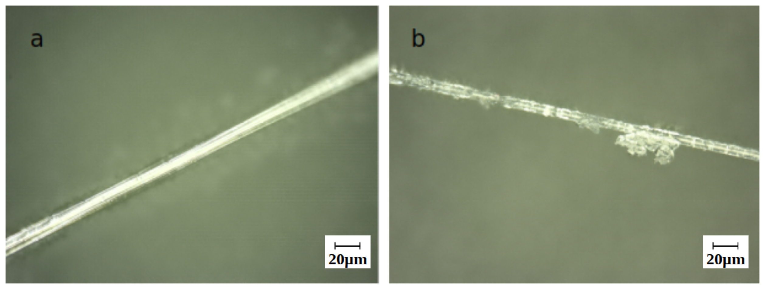 Applsci 11 05484 g009