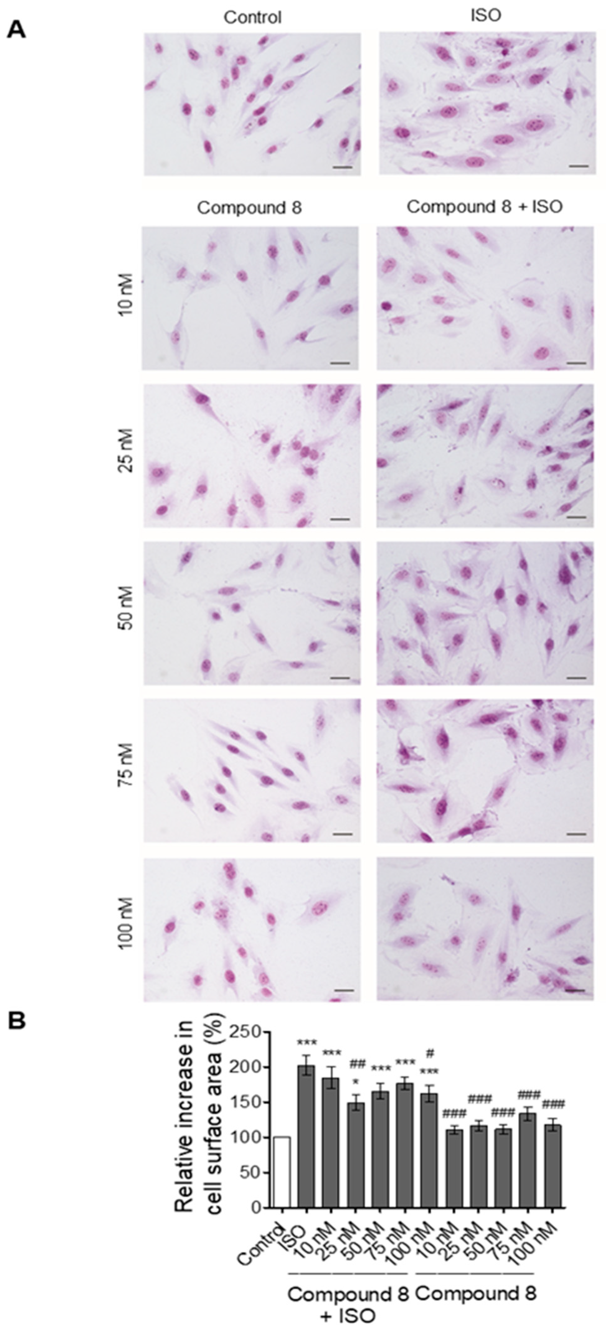 Applsci 11 05486 g005