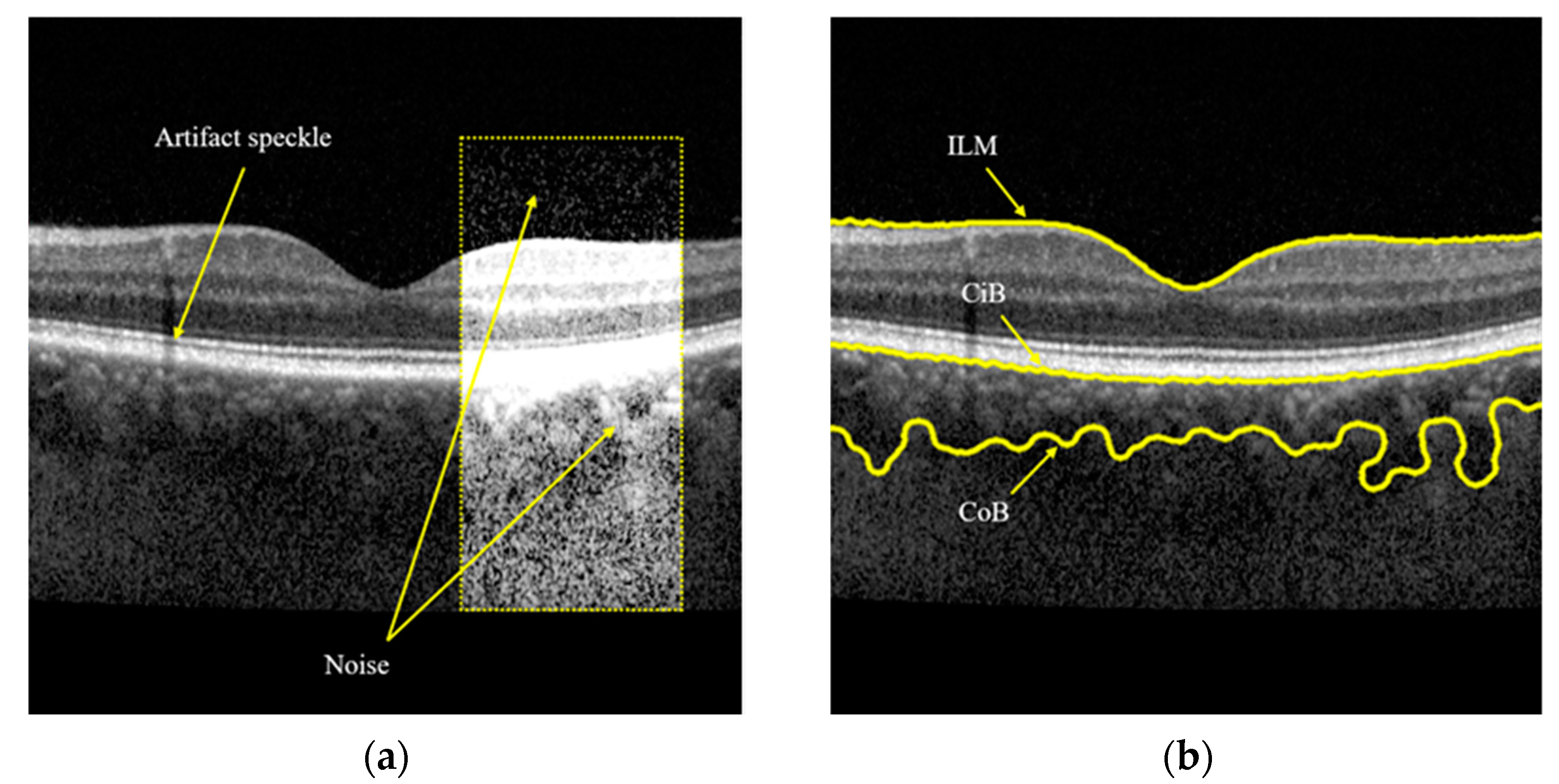 Applsci 11 05488 g001