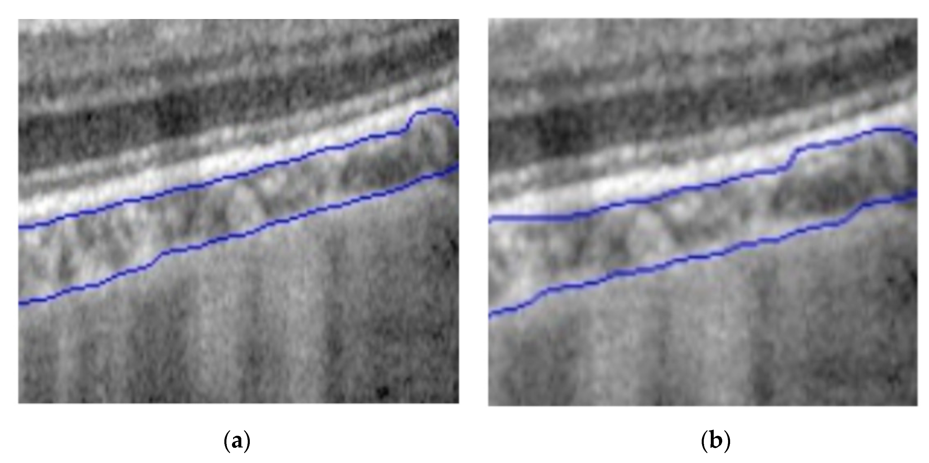 Applsci 11 05488 g003