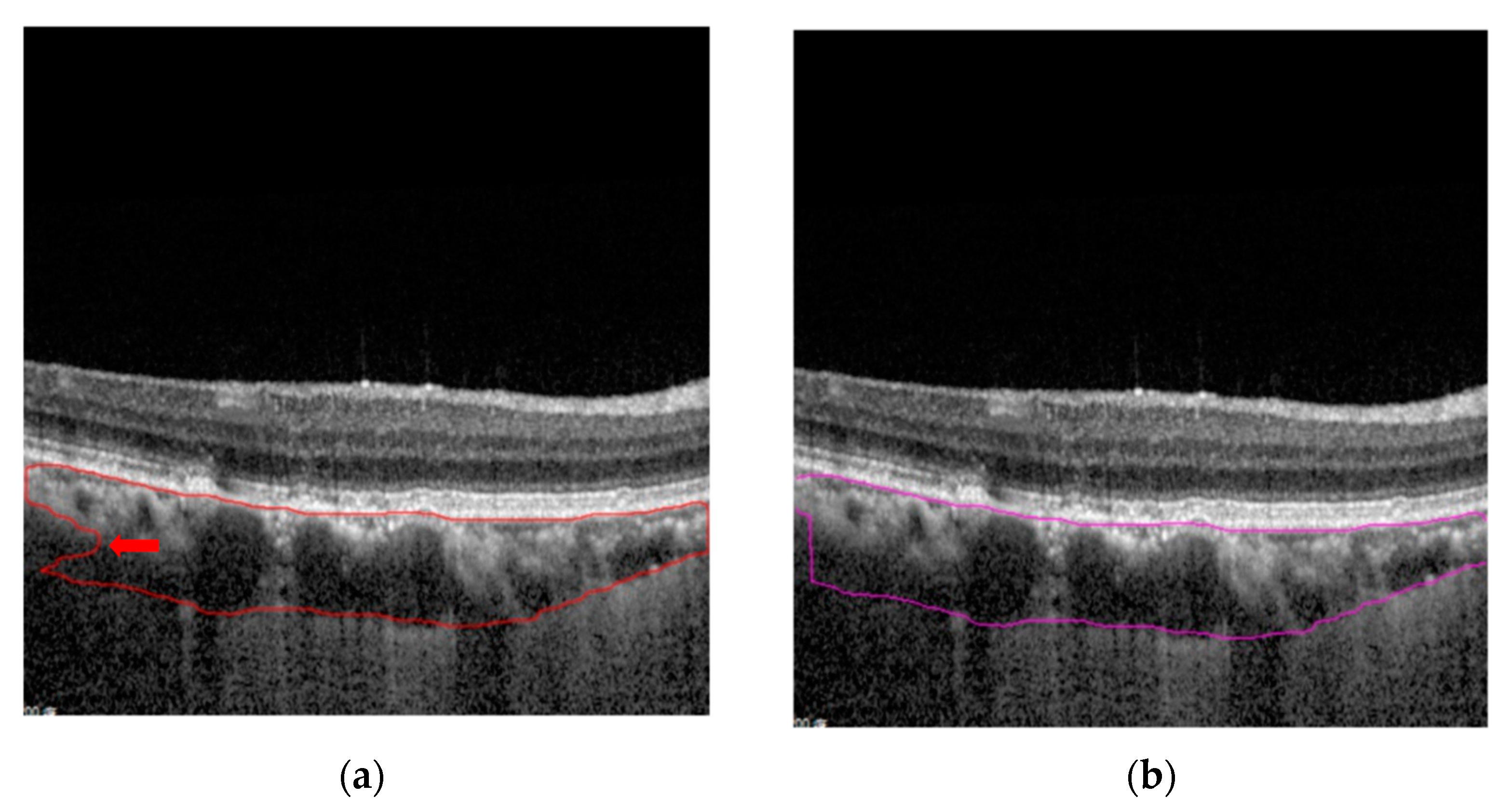 Applsci 11 05488 g005