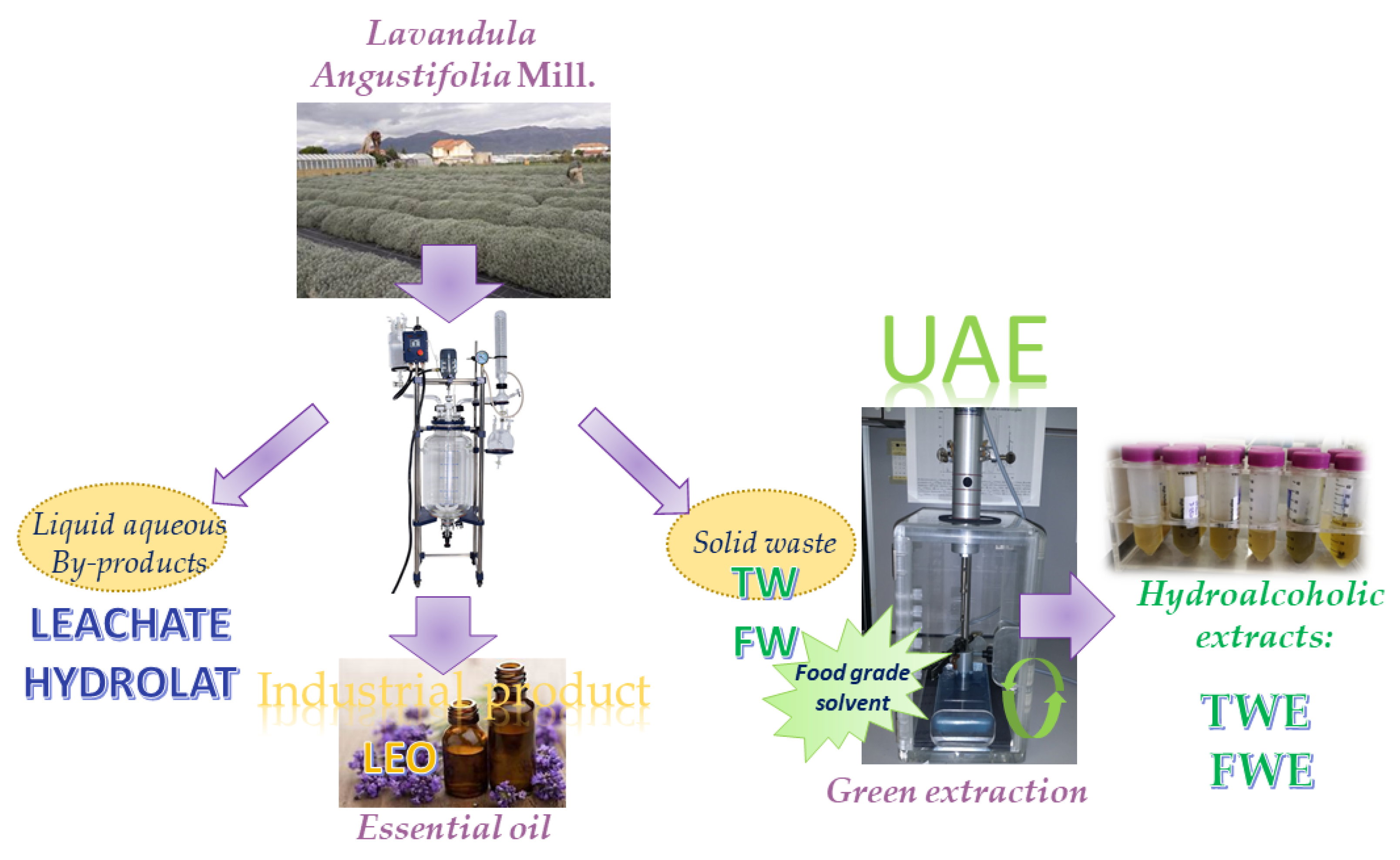 Applsci 11 05495 g002