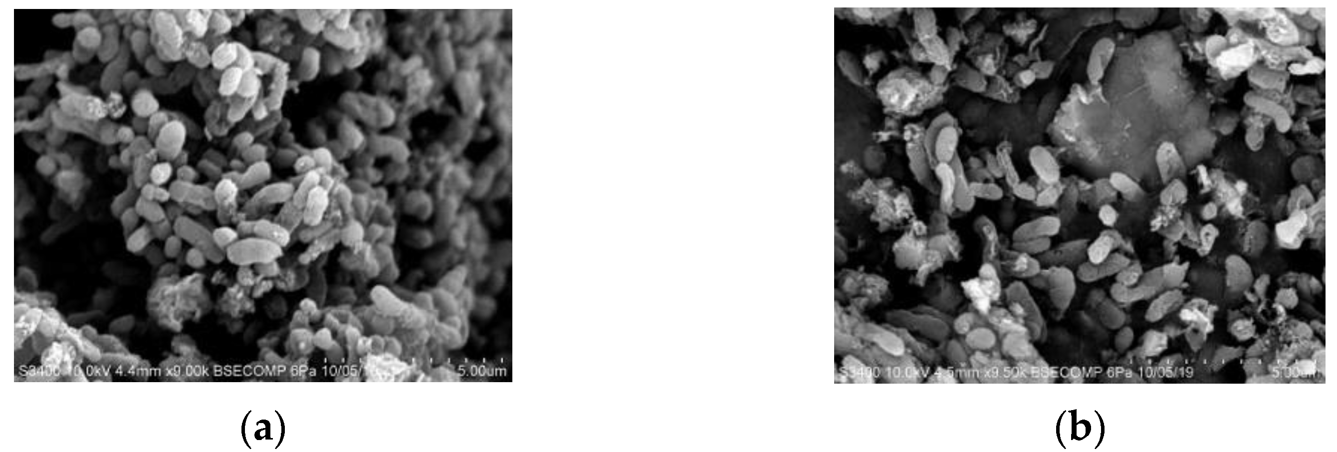 Applsci 11 05496 g003