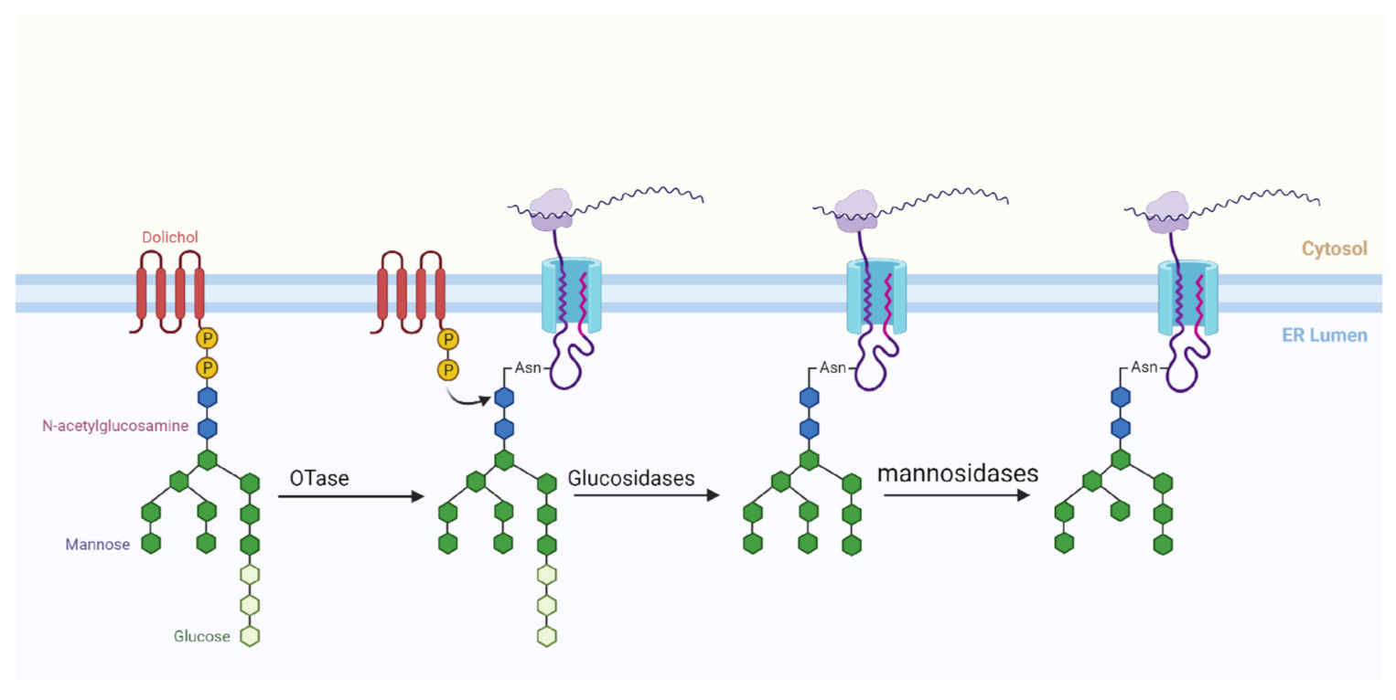 Applsci 11 05532 g001