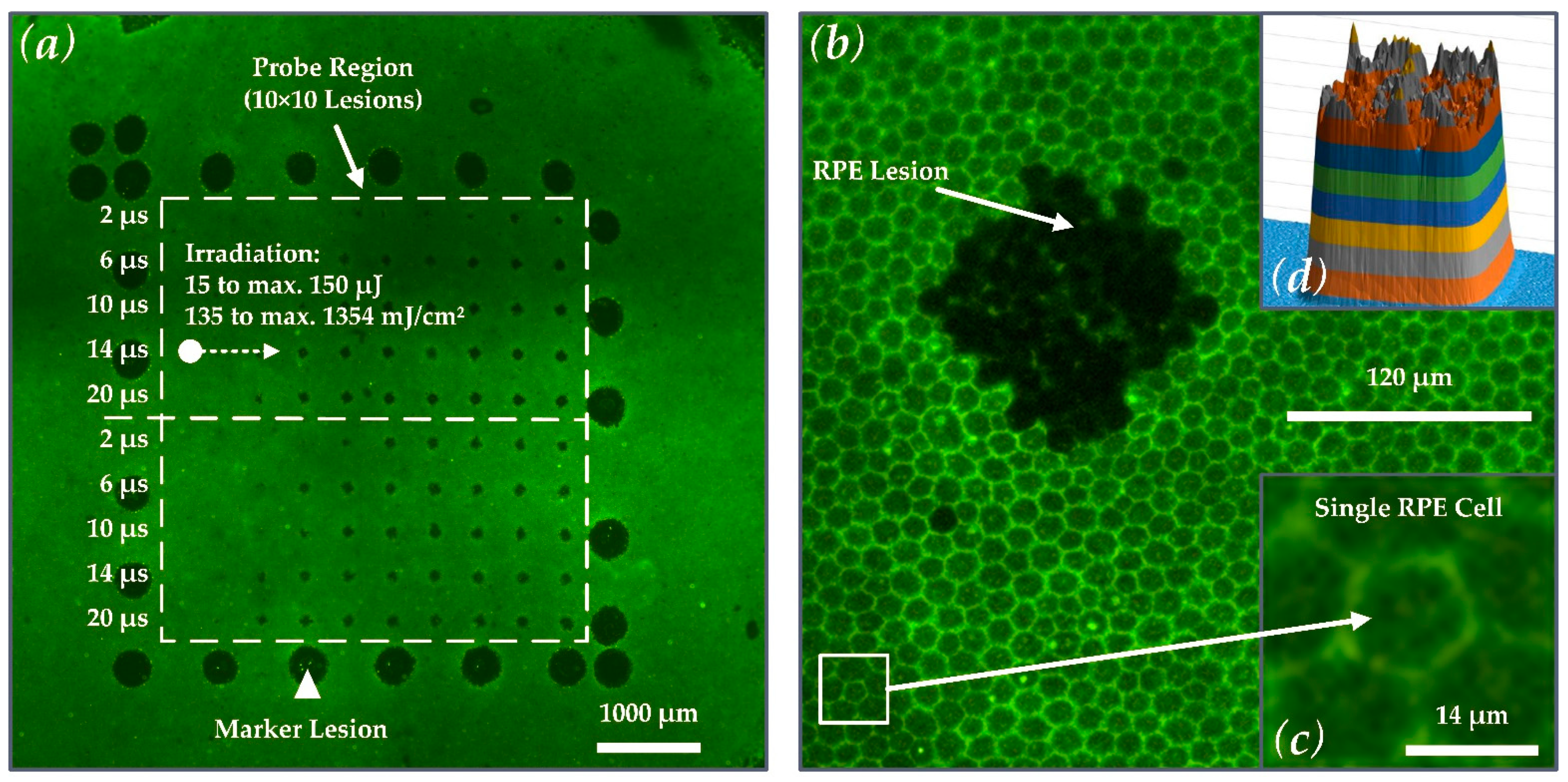 Applsci 11 05535 g002