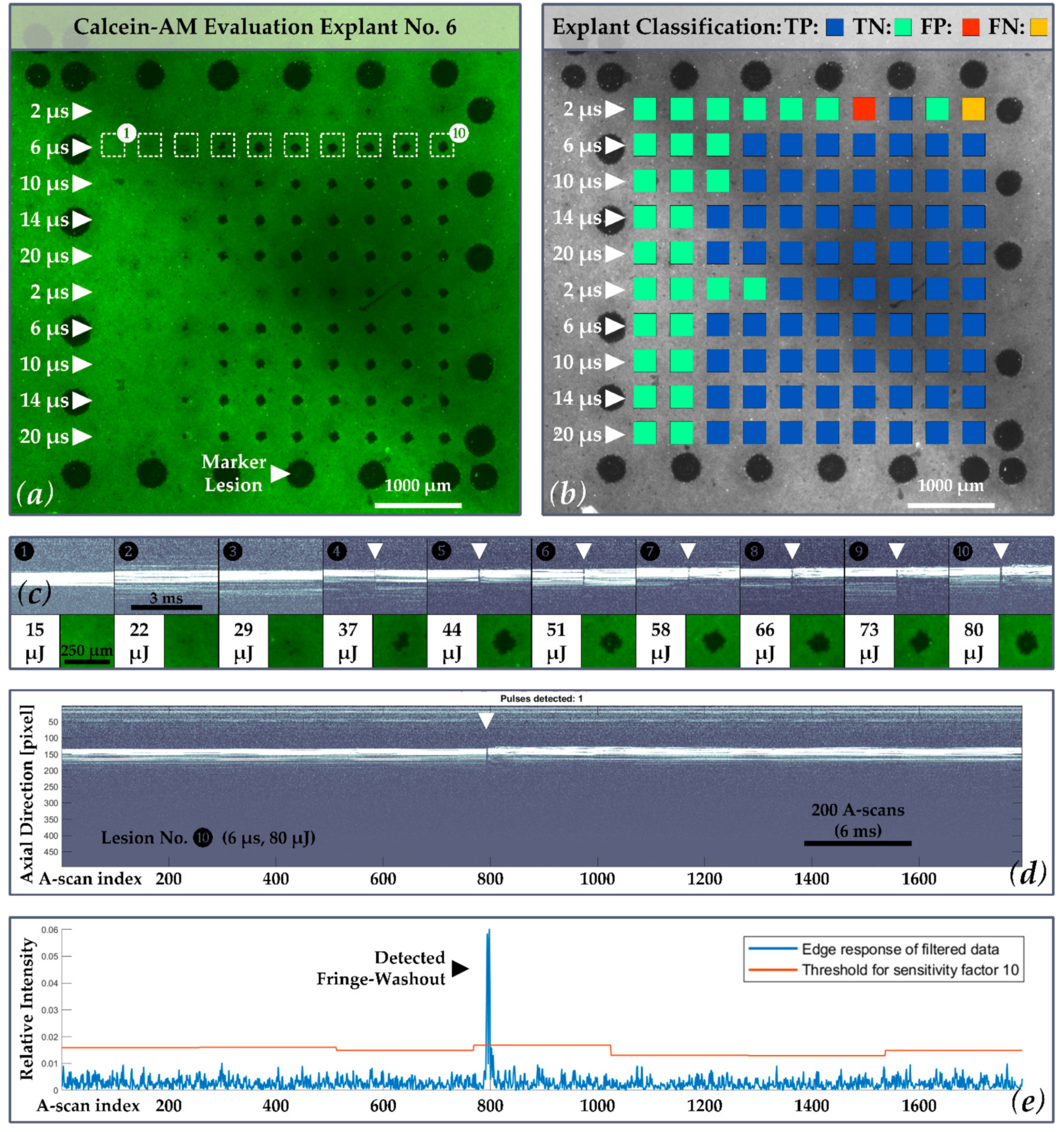 Applsci 11 05535 g005