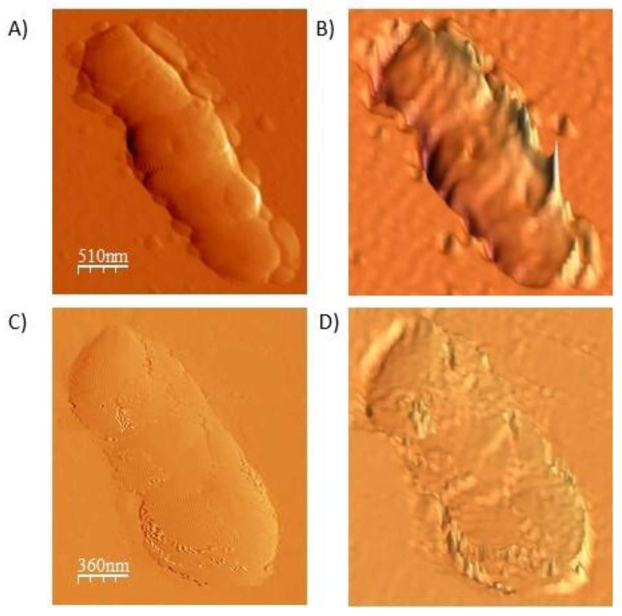 Applsci 11 05544 g003