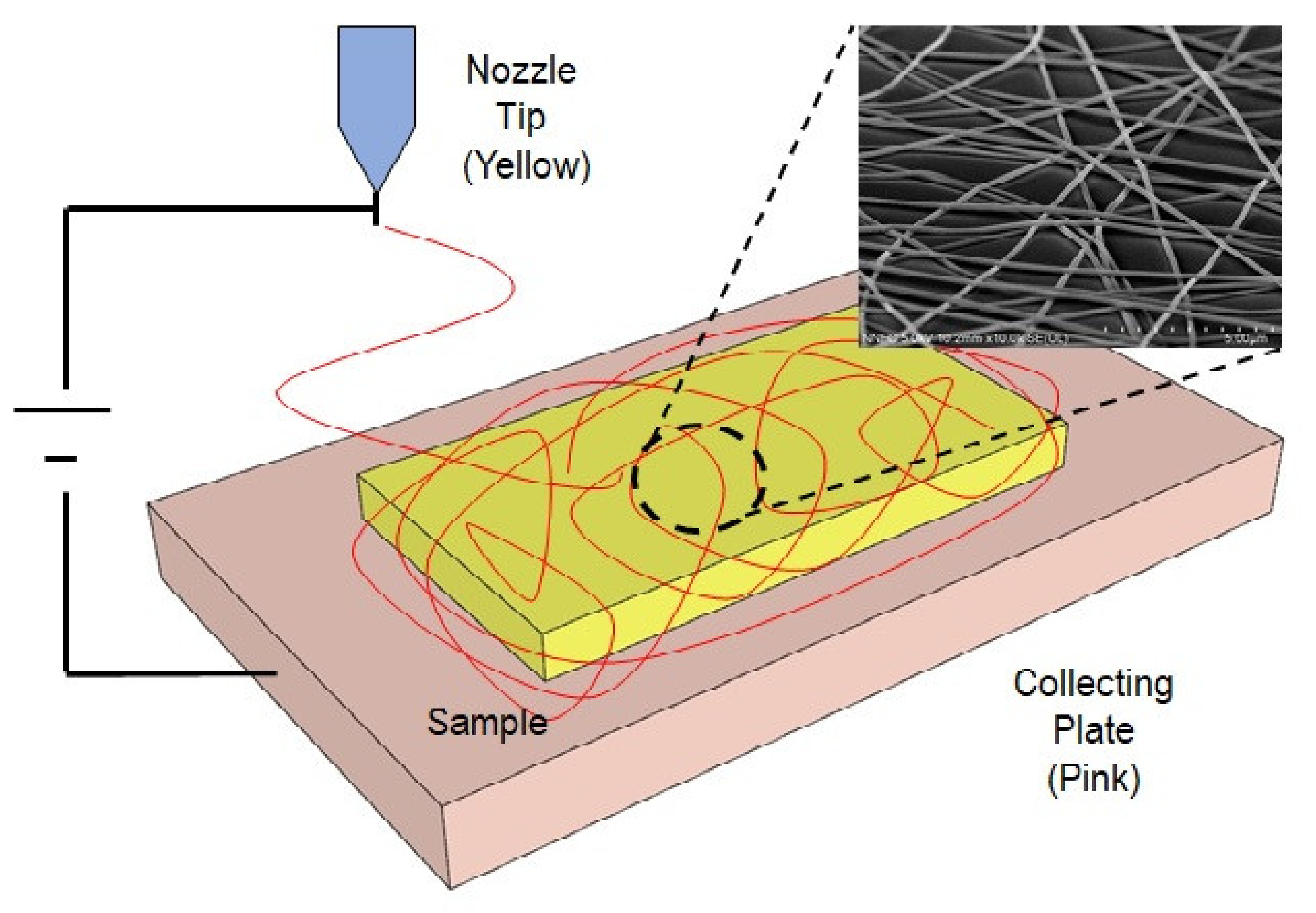 Applsci 11 05565 g001
