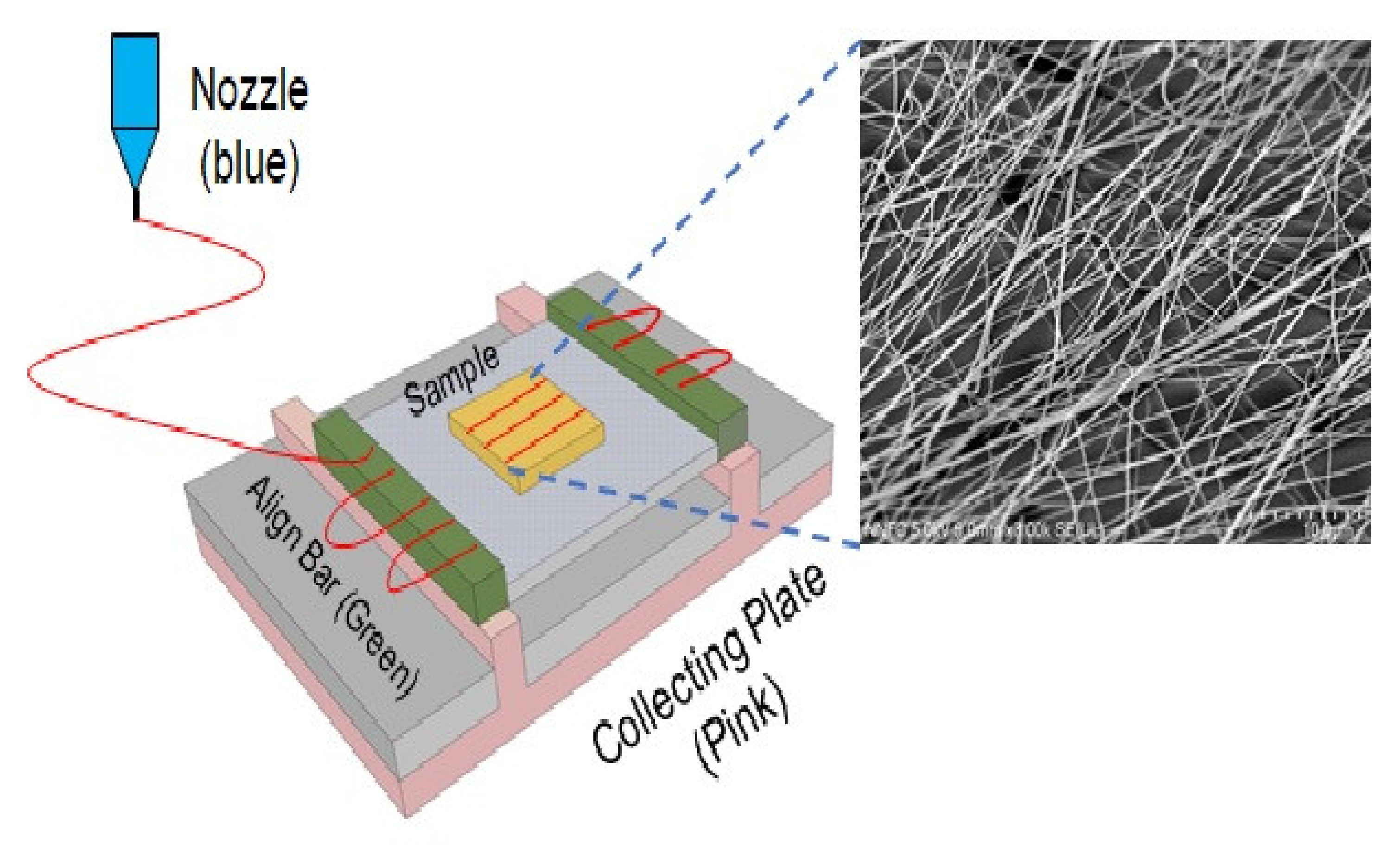 Applsci 11 05565 g002