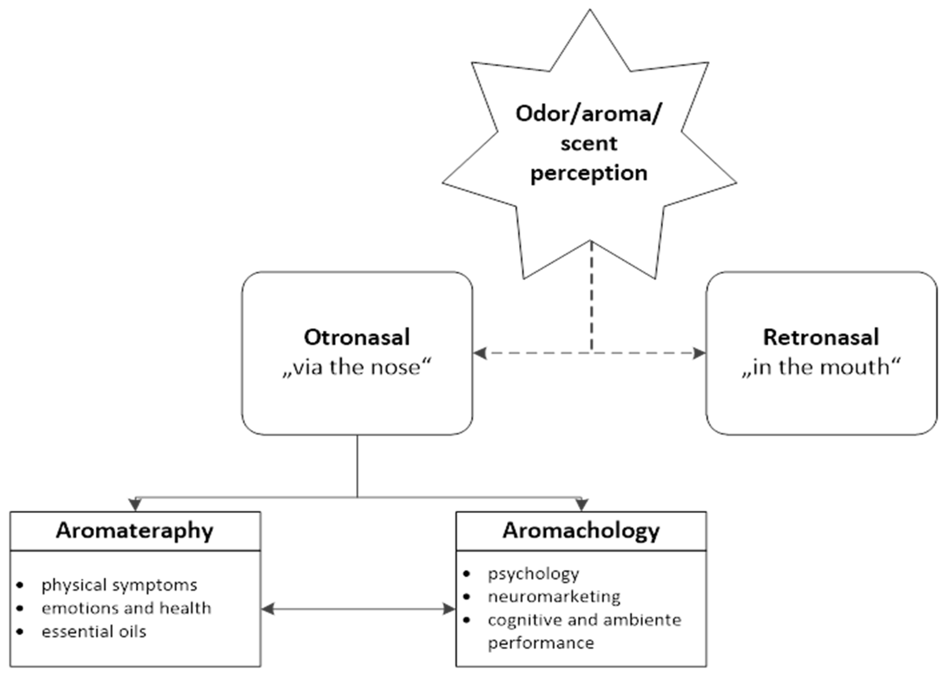 Applsci 11 05600 g001