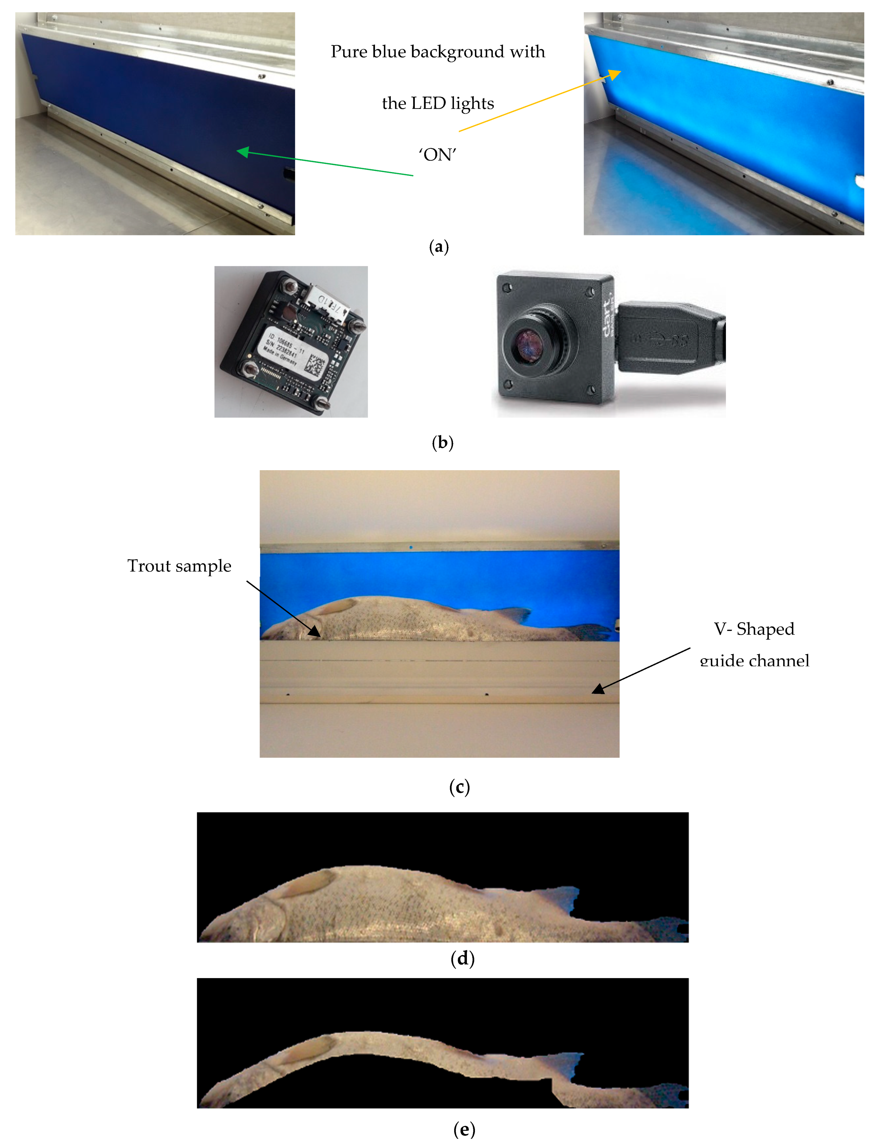 Applsci 11 05602 g001