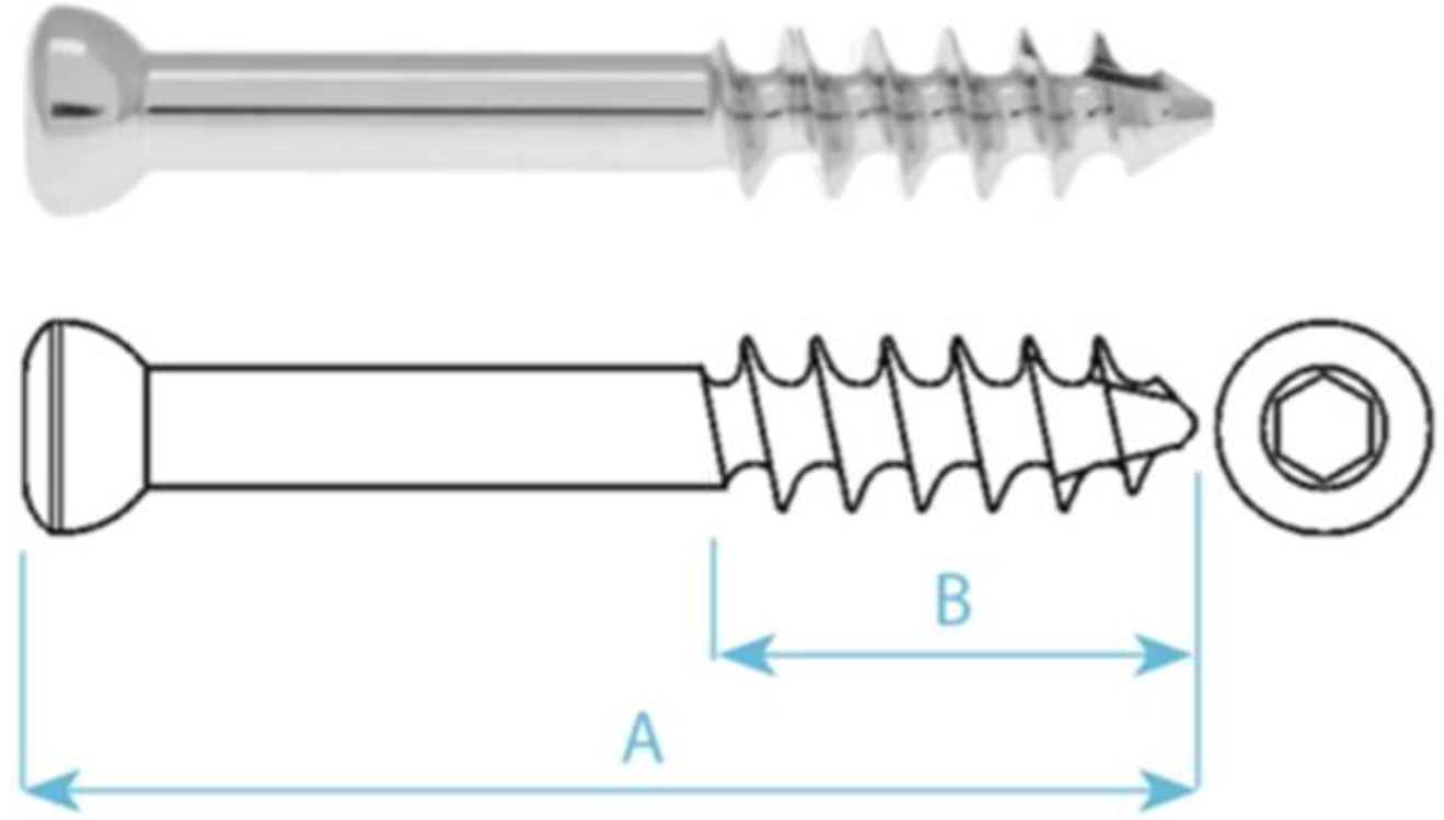 Applsci 11 05616 i001 Applsci 11 05616 i001