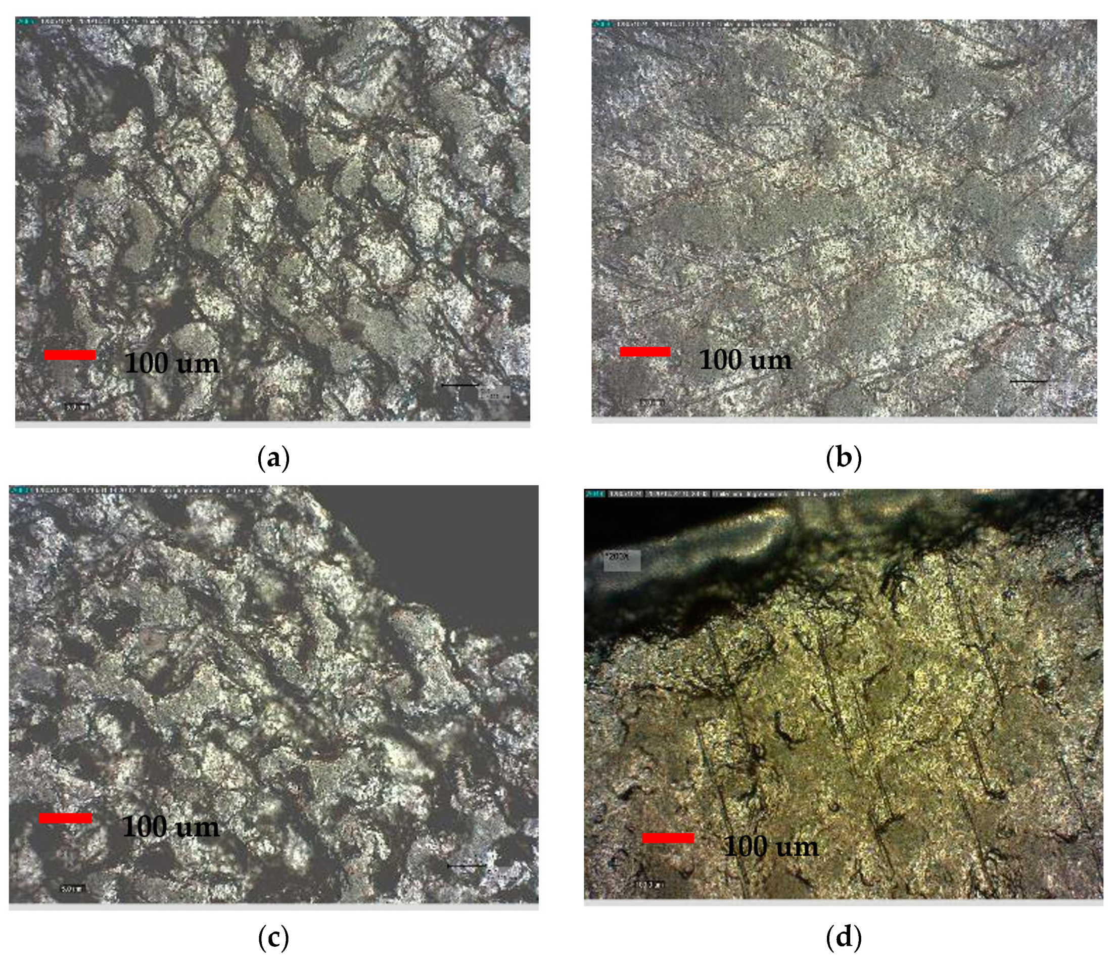 Applsci 11 05622 g004