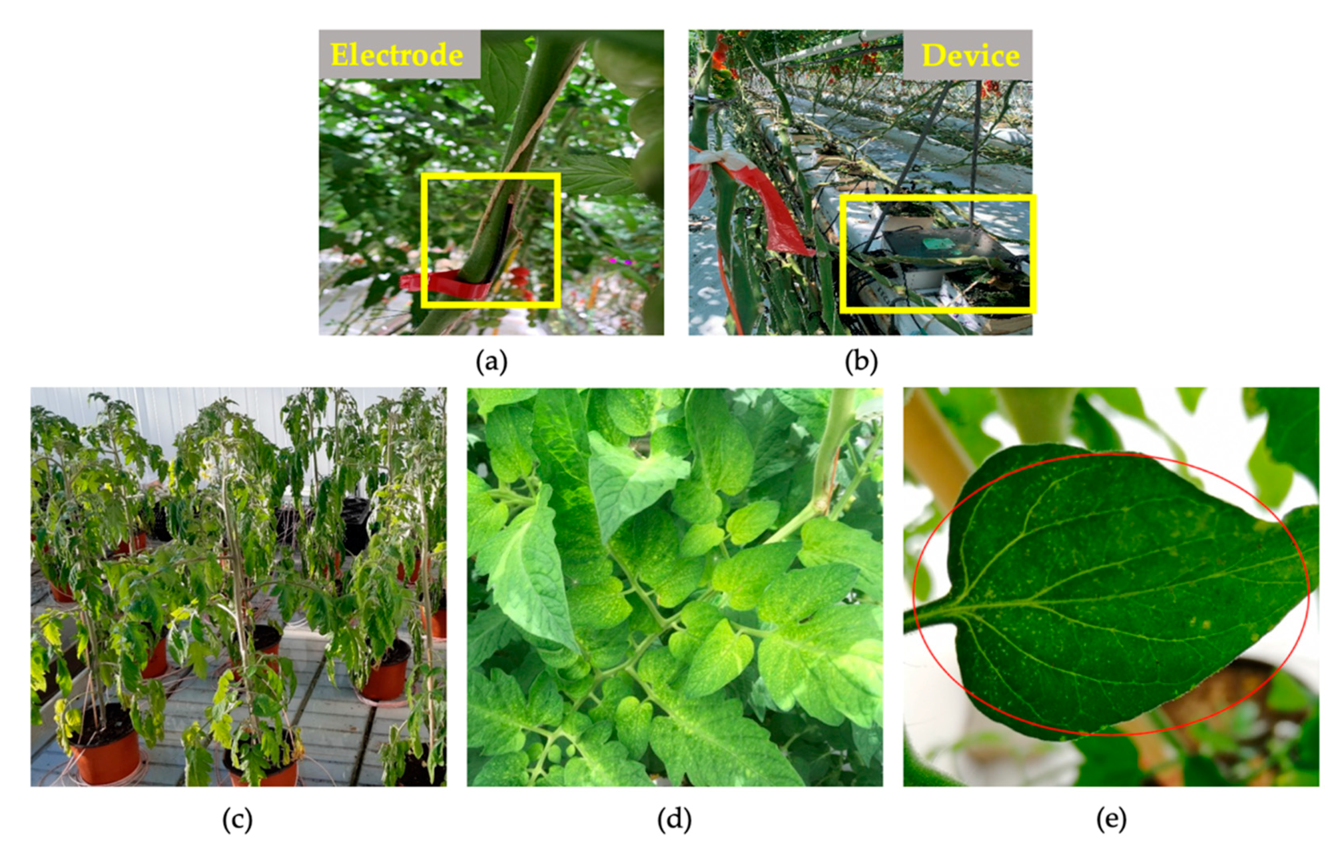Applsci 11 05640 g001