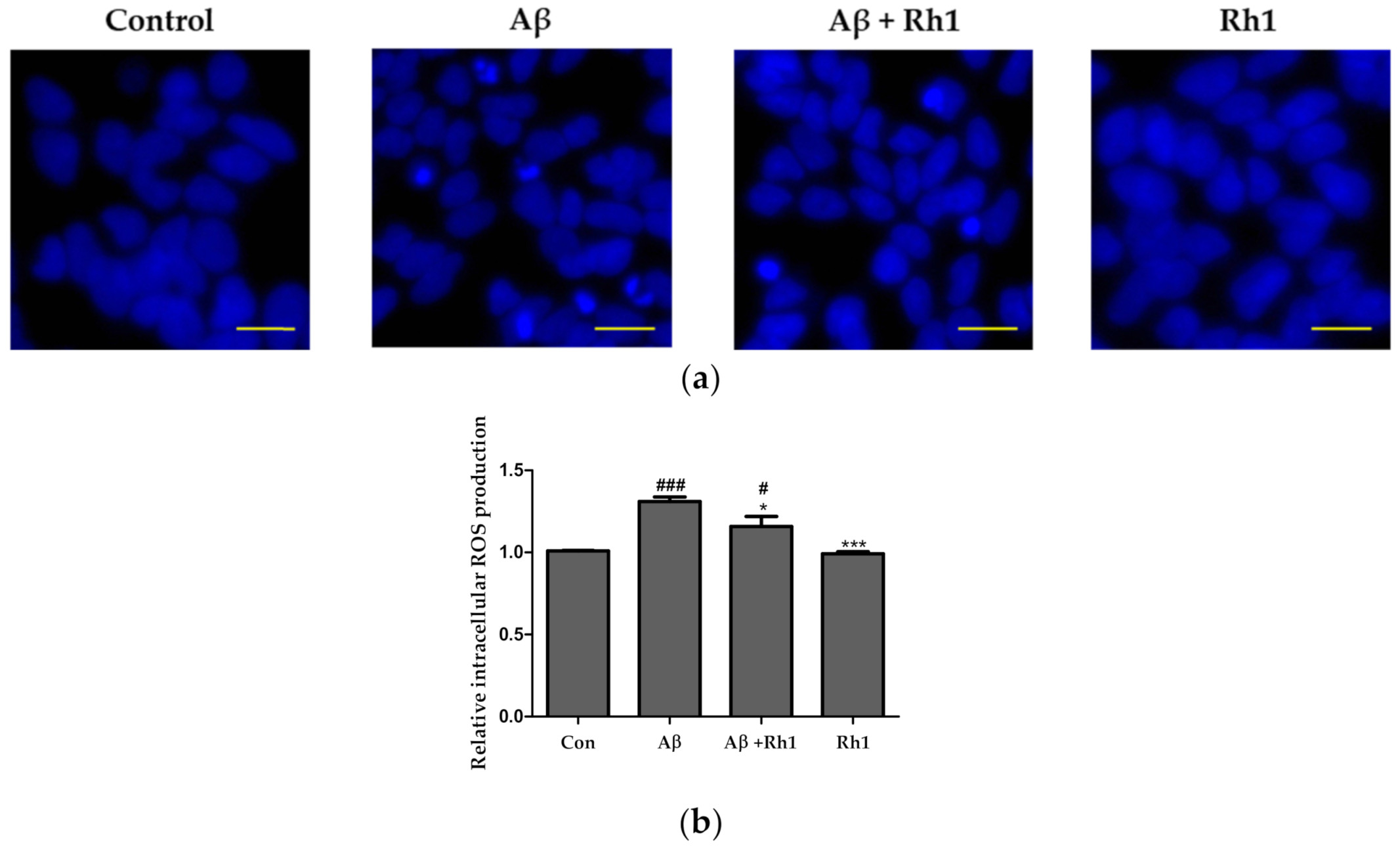 Applsci 11 05654 g003 Applsci 11 05654 g003