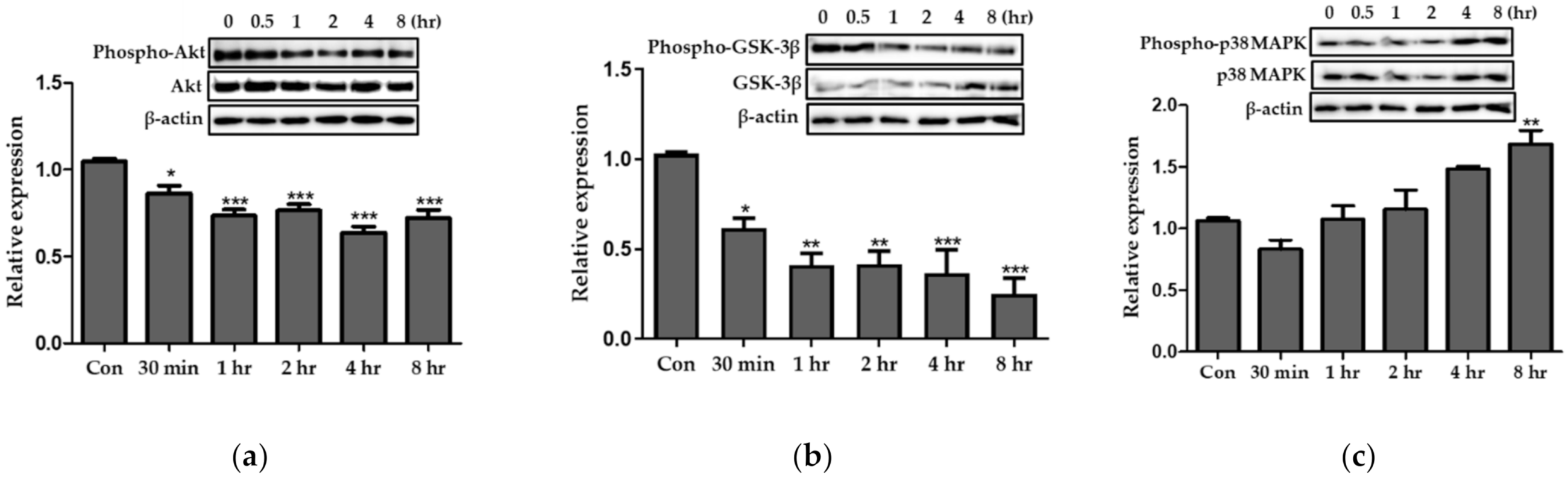 Applsci 11 05654 g004 Applsci 11 05654 g004