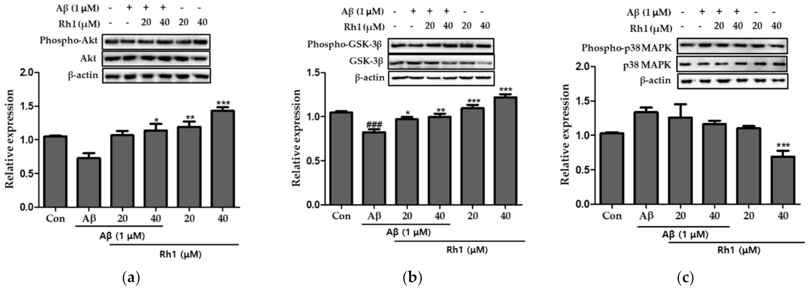 Applsci 11 05654 g005 Applsci 11 05654 g005