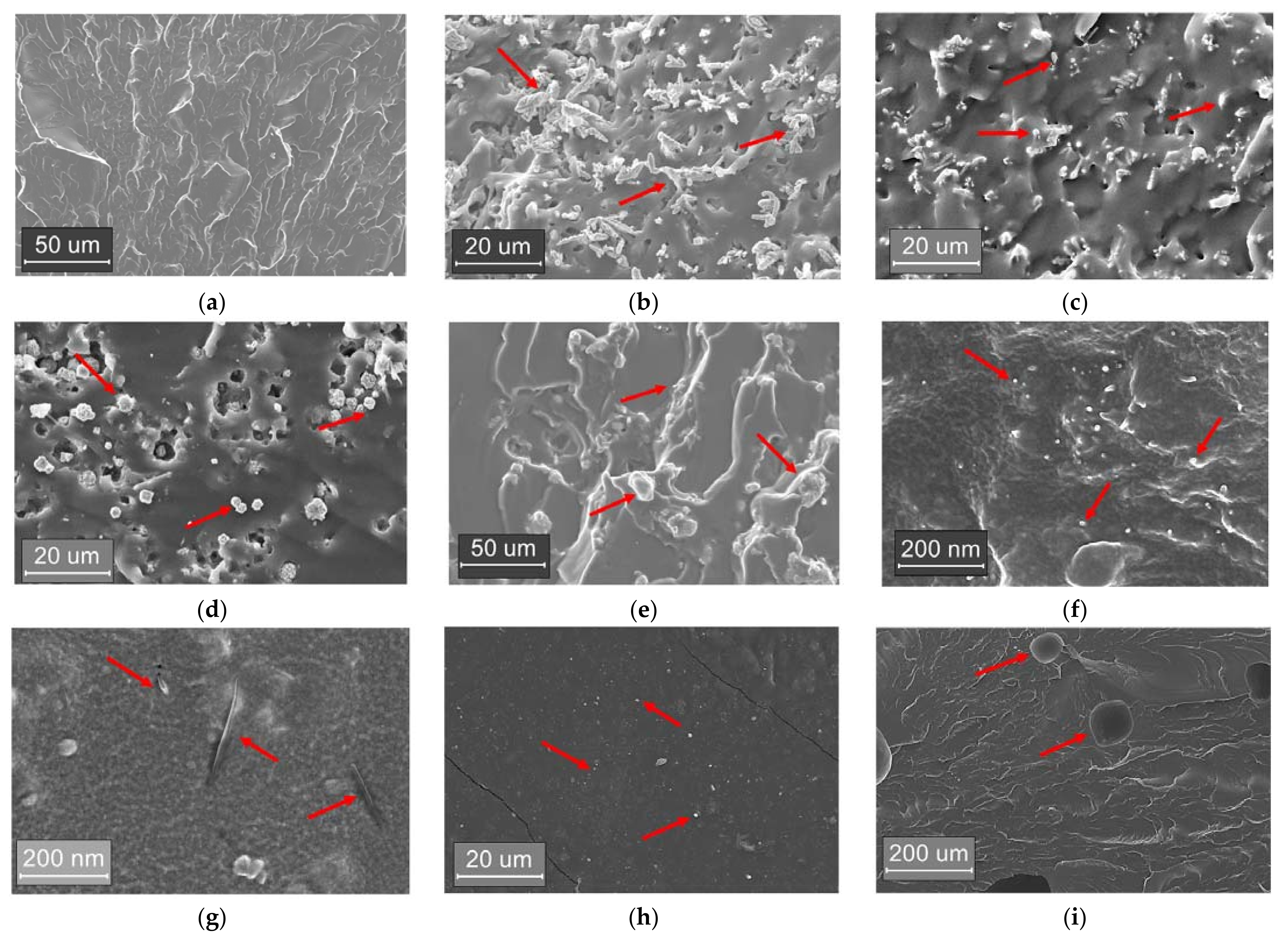 Applsci 11 05663 g004