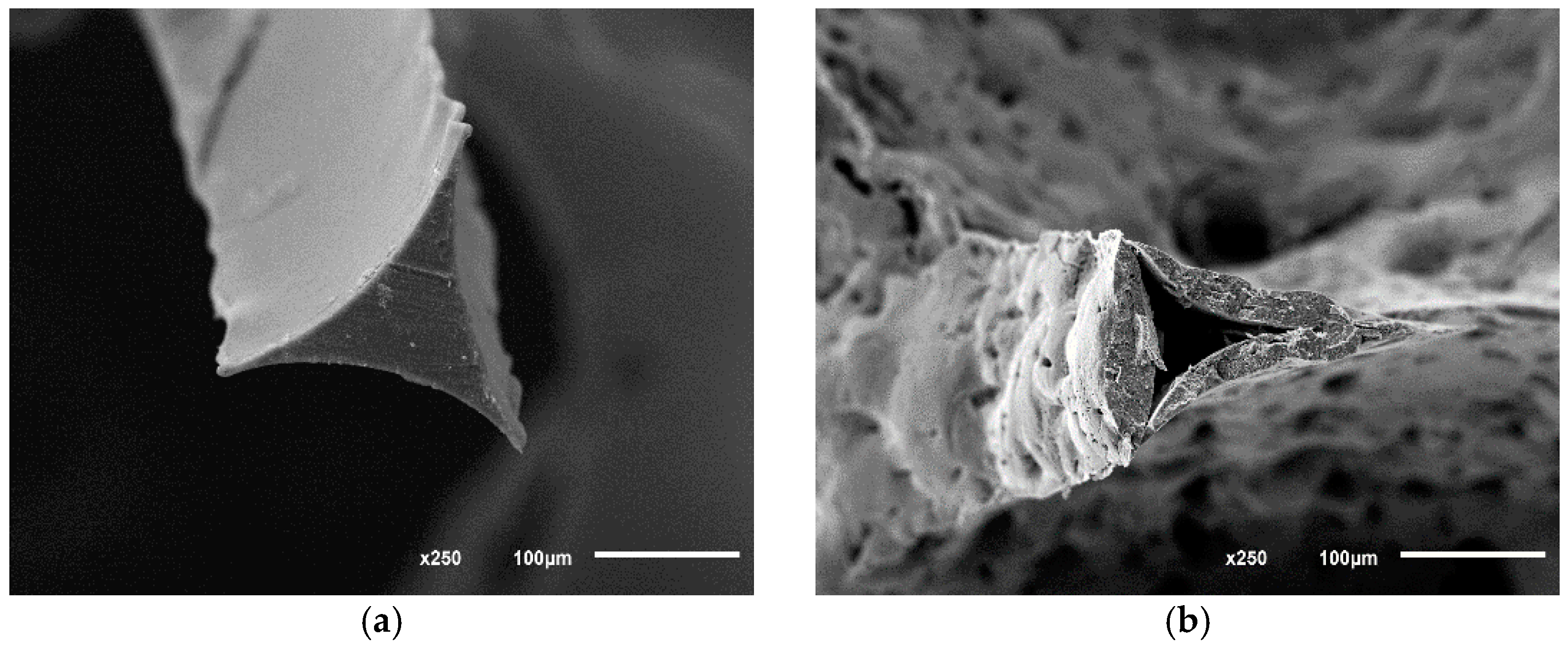 Applsci 11 05672 g002 Applsci 11 05672 g002