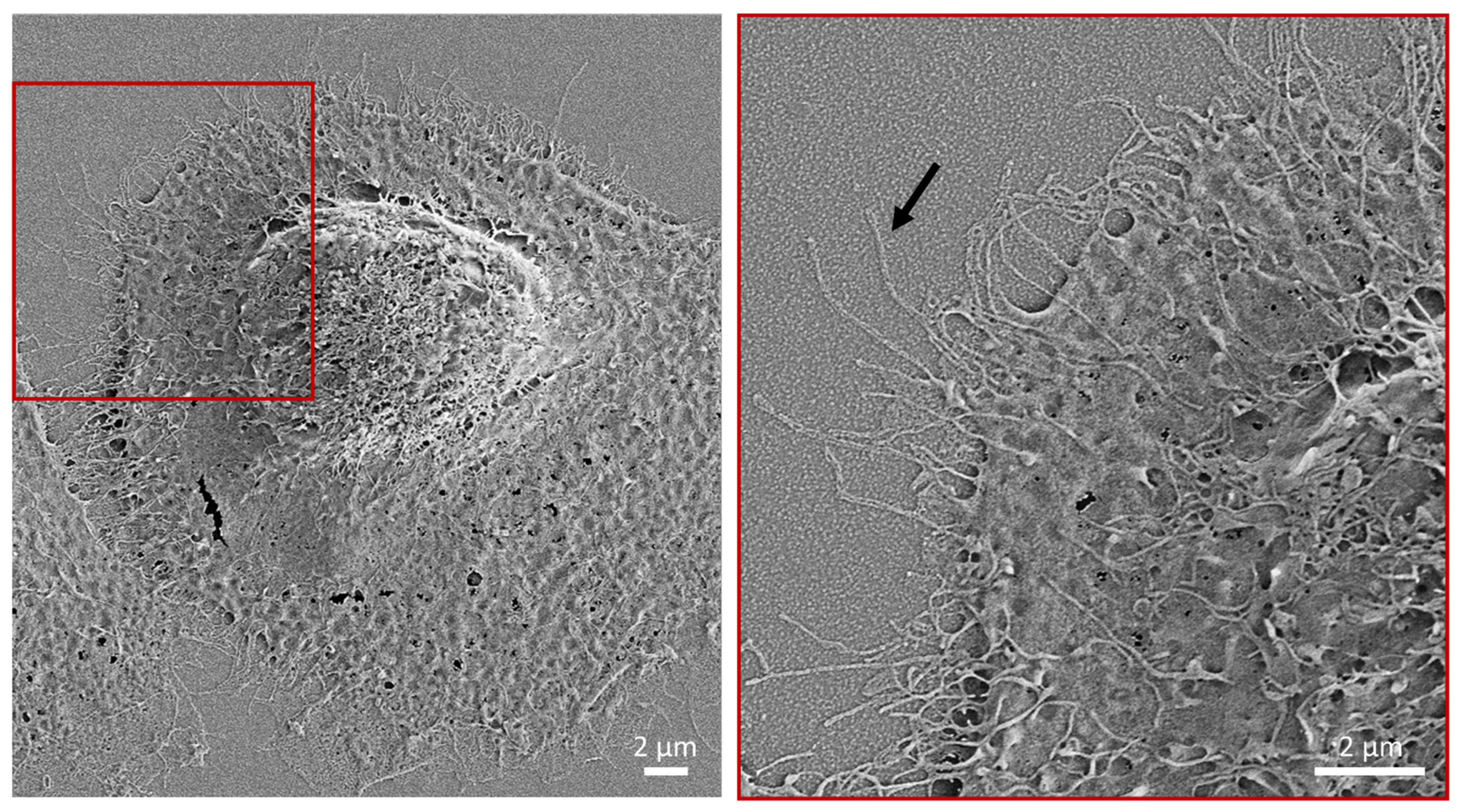 Applsci 11 05689 g003