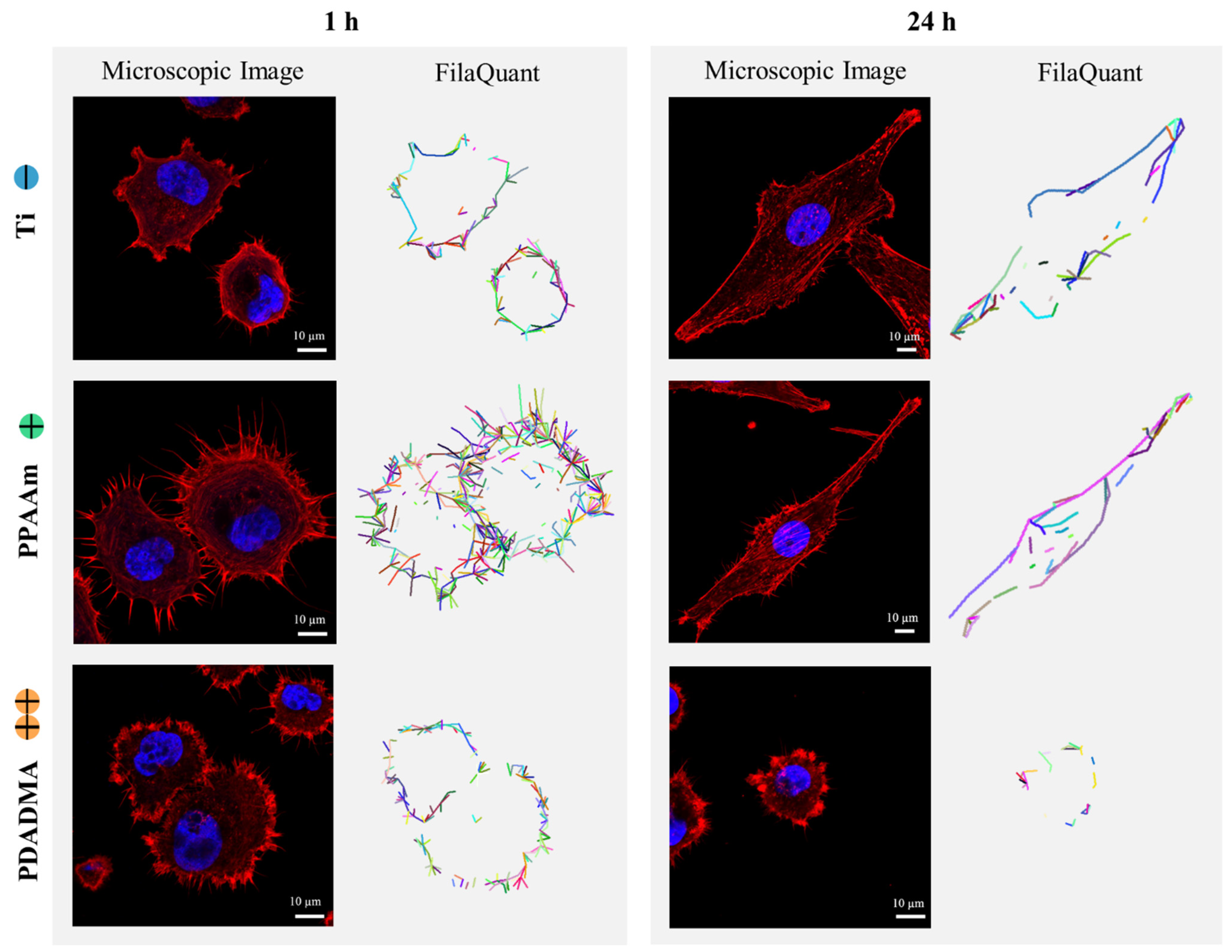 Applsci 11 05689 g004