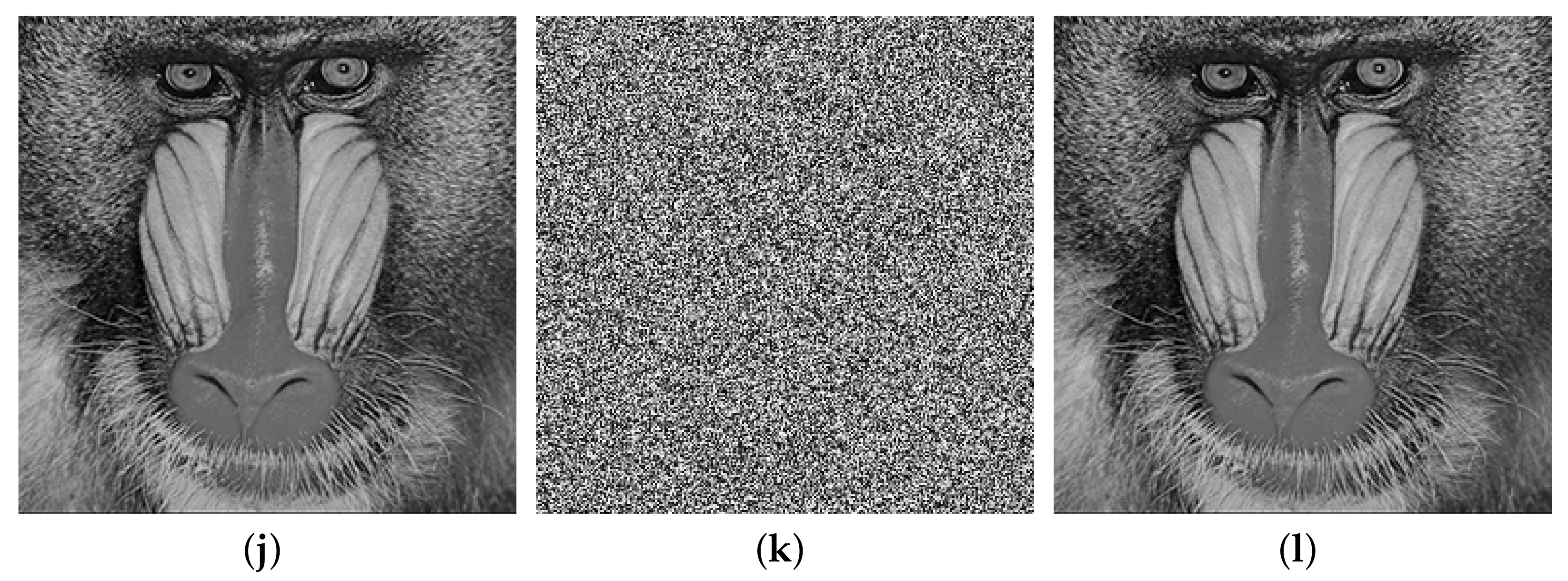 Applsci 11 05691 g010b