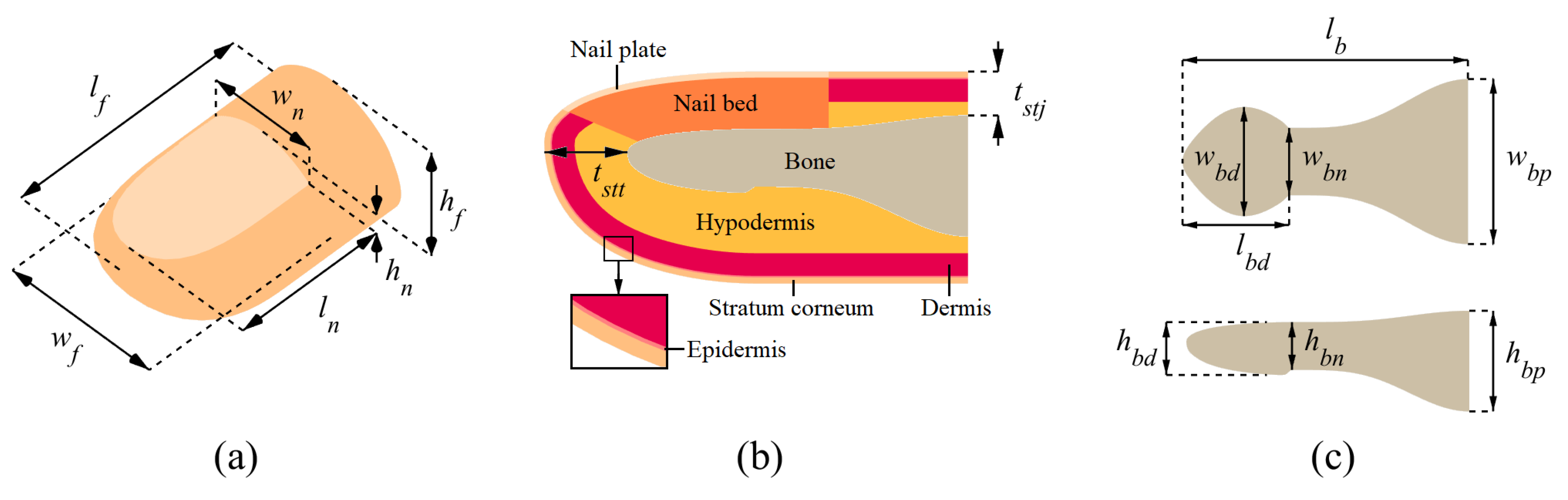Applsci 11 05709 g001 Applsci 11 05709 g001
