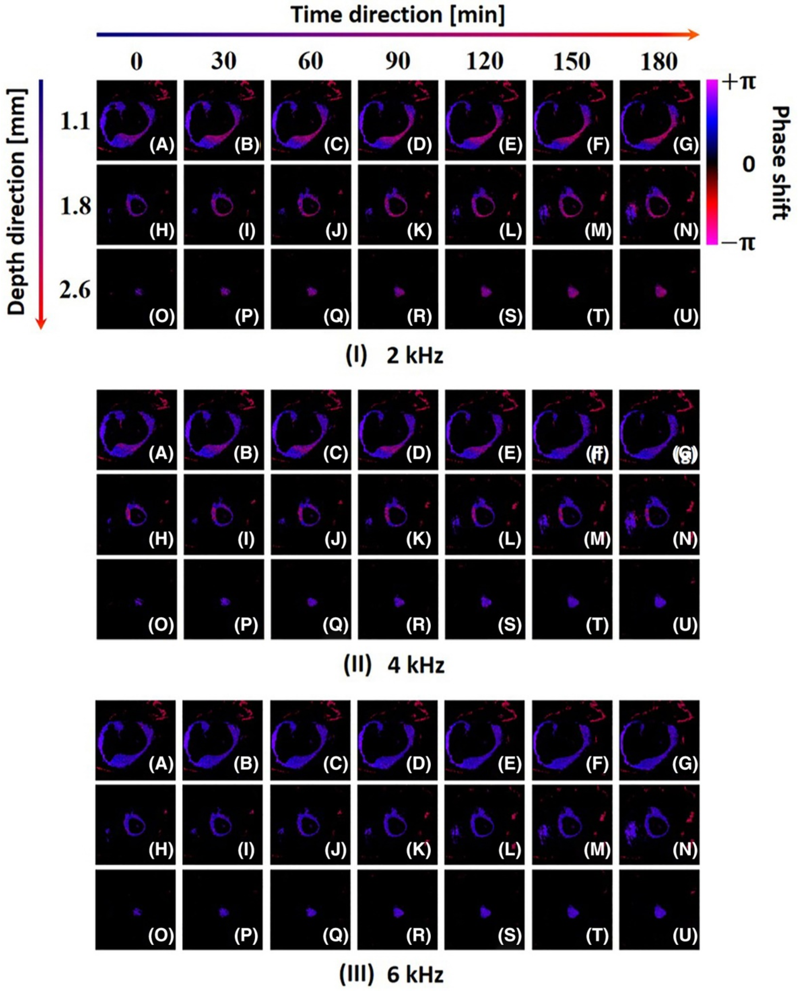 Applsci 11 05711 g005