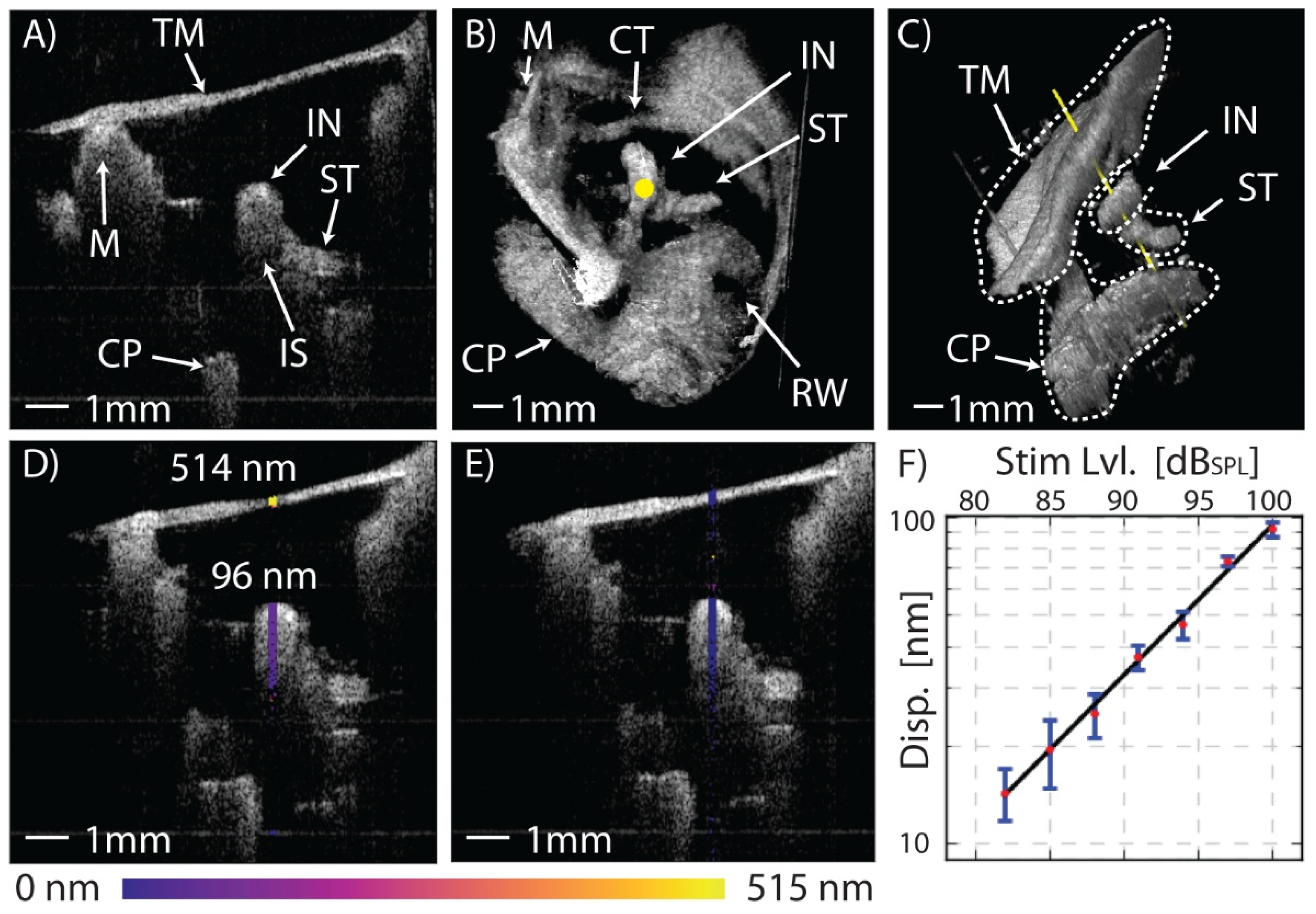 Applsci 11 05711 g007