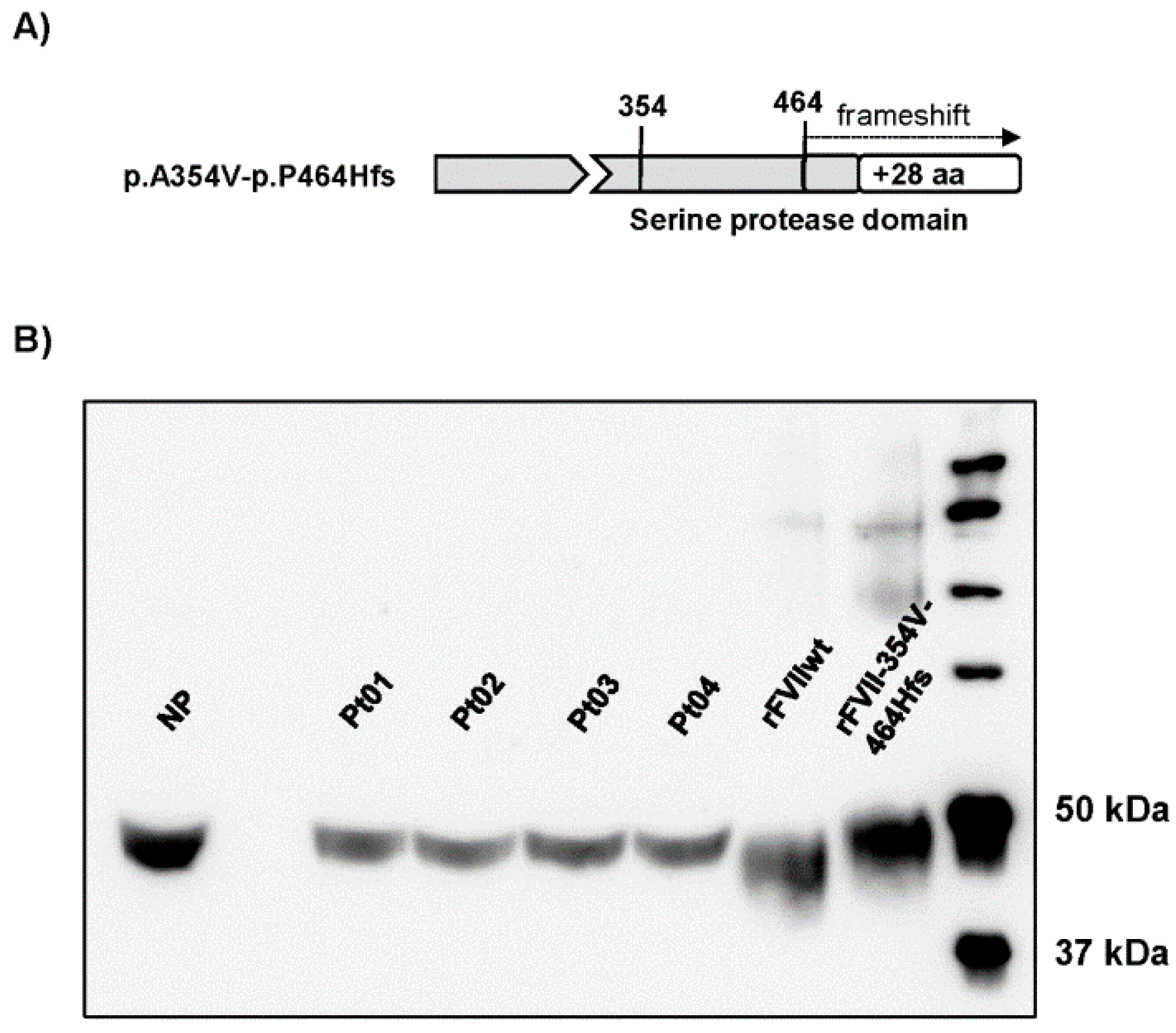 Applsci 11 05762 g002
