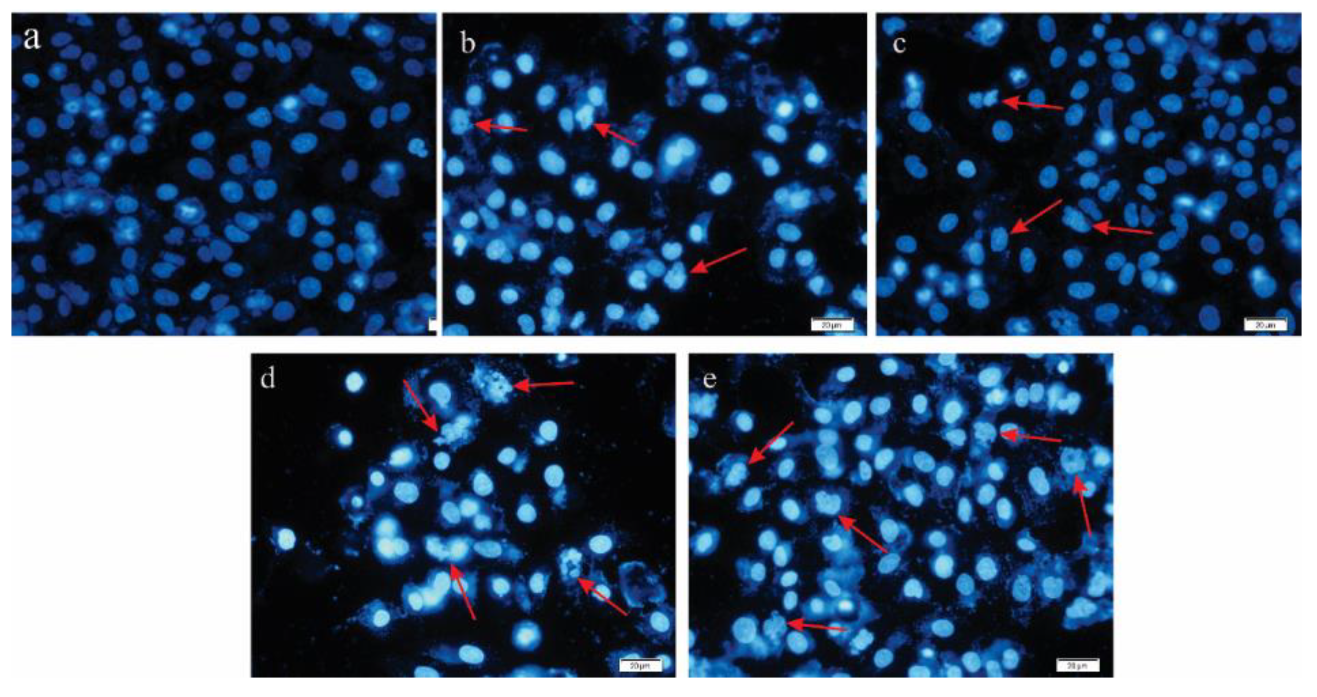 Applsci 11 05763 g003