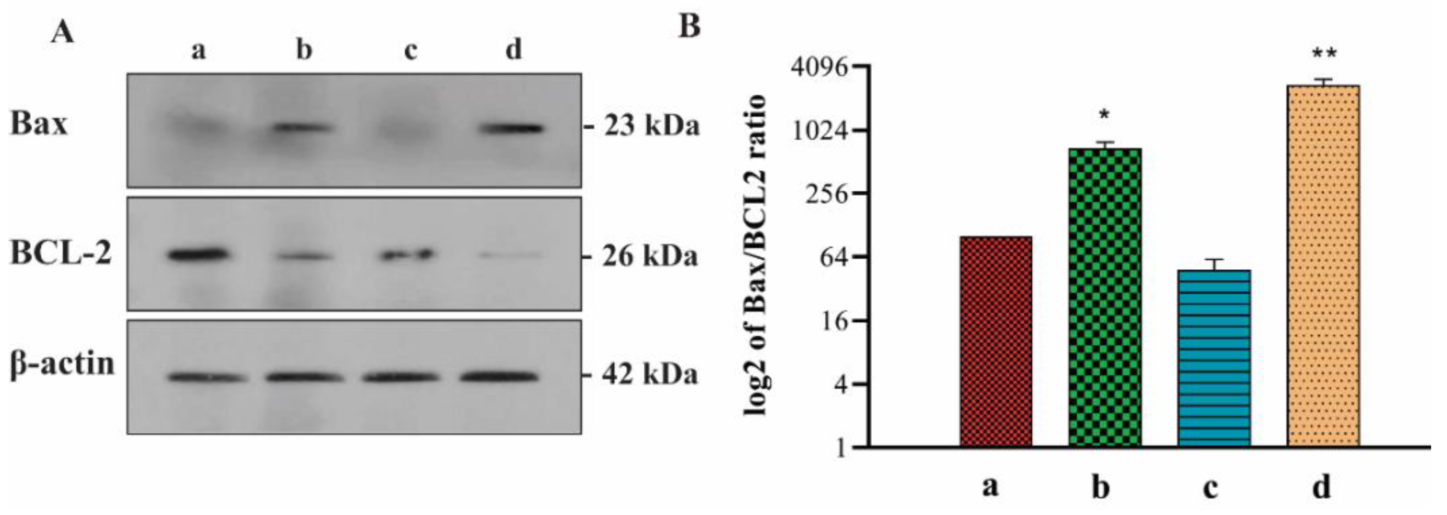 Applsci 11 05763 g007