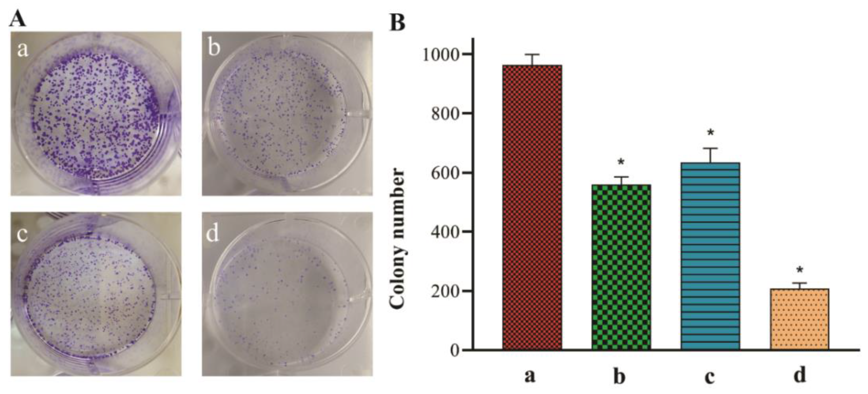 Applsci 11 05763 g010