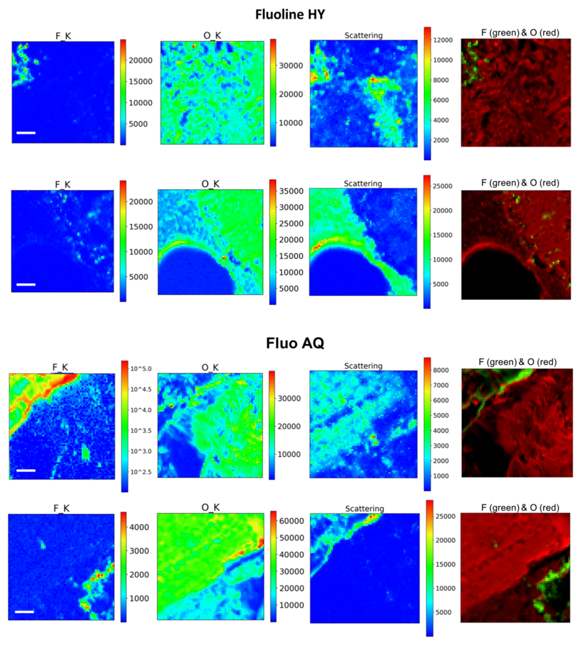 Applsci 11 05767 g003